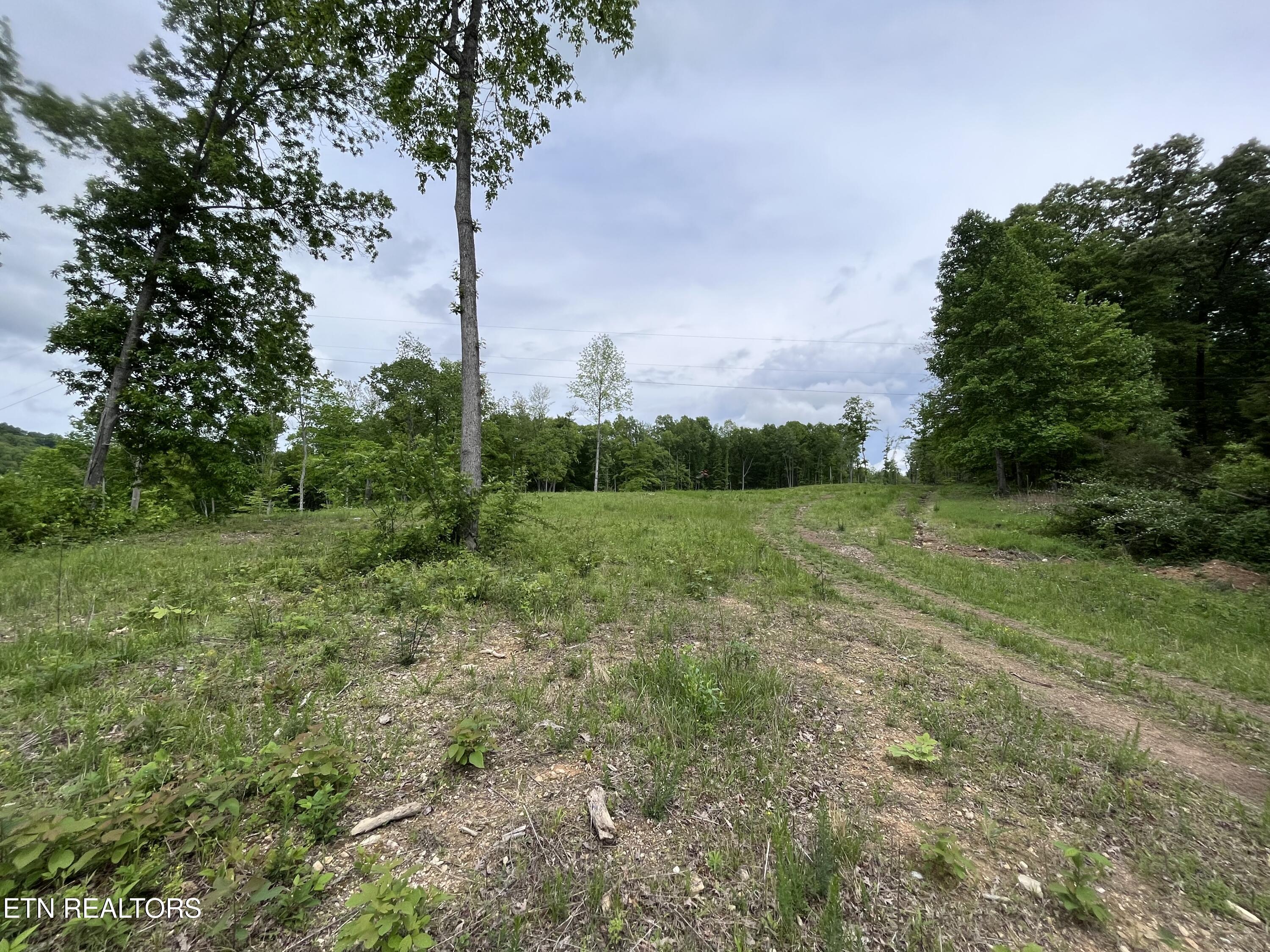 123 Ingle Lane Tazewell TN 37879