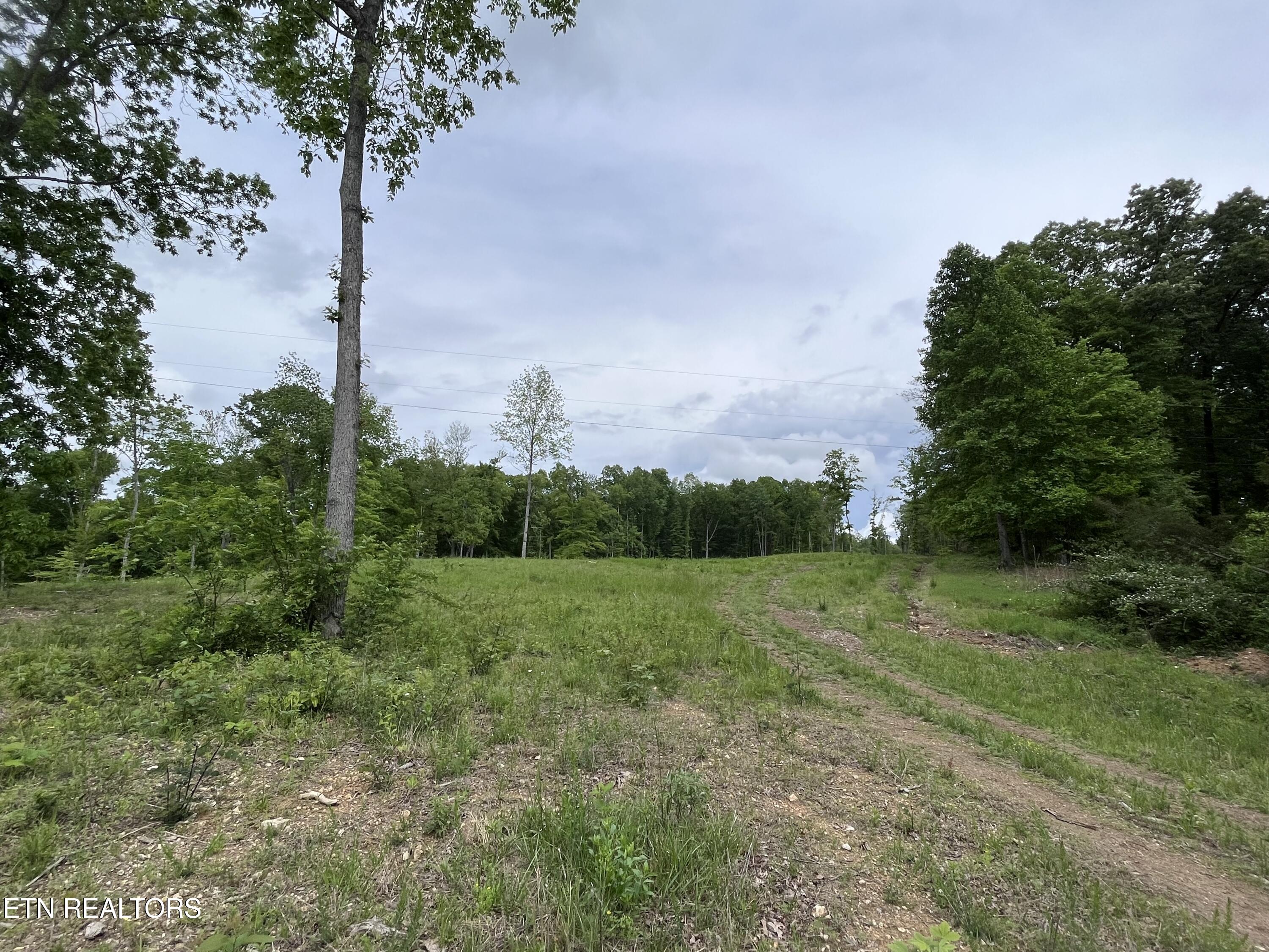 123 Ingle Lane Tazewell TN 37879