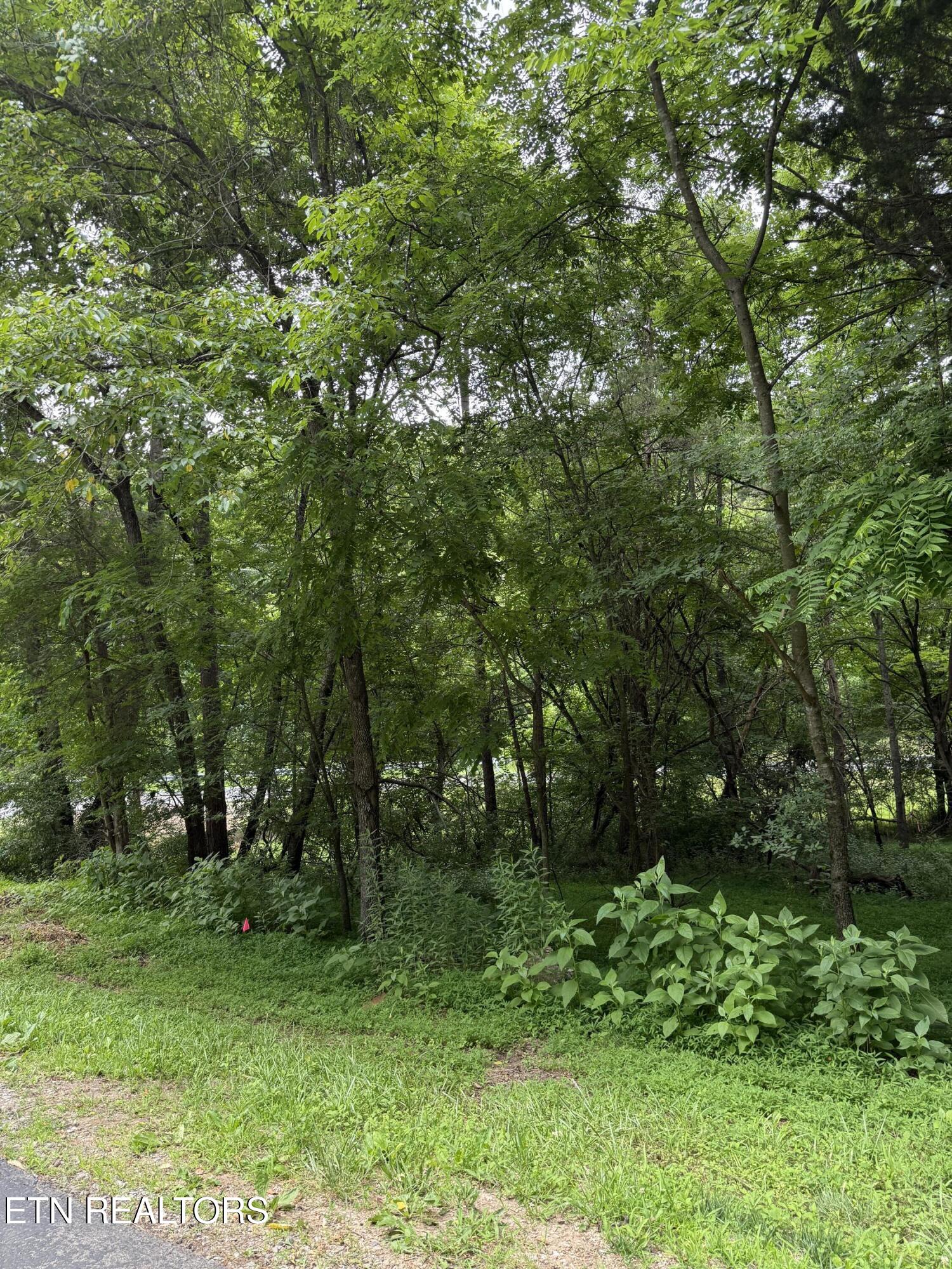 281 Ootsima Way Loudon TN 37774
