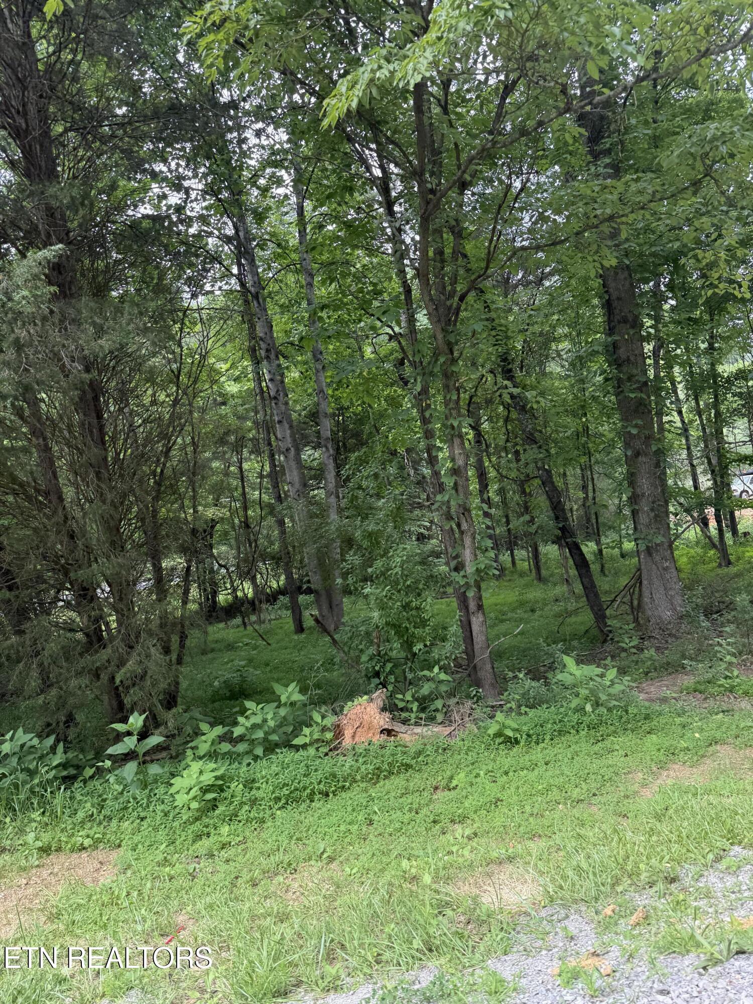 281 Ootsima Way Loudon TN 37774