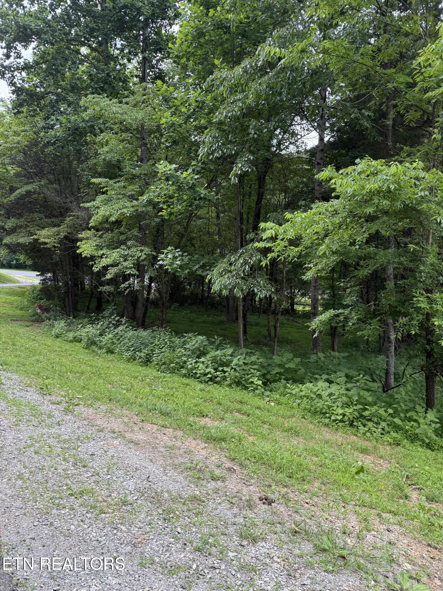 281 Ootsima Way Loudon TN 37774