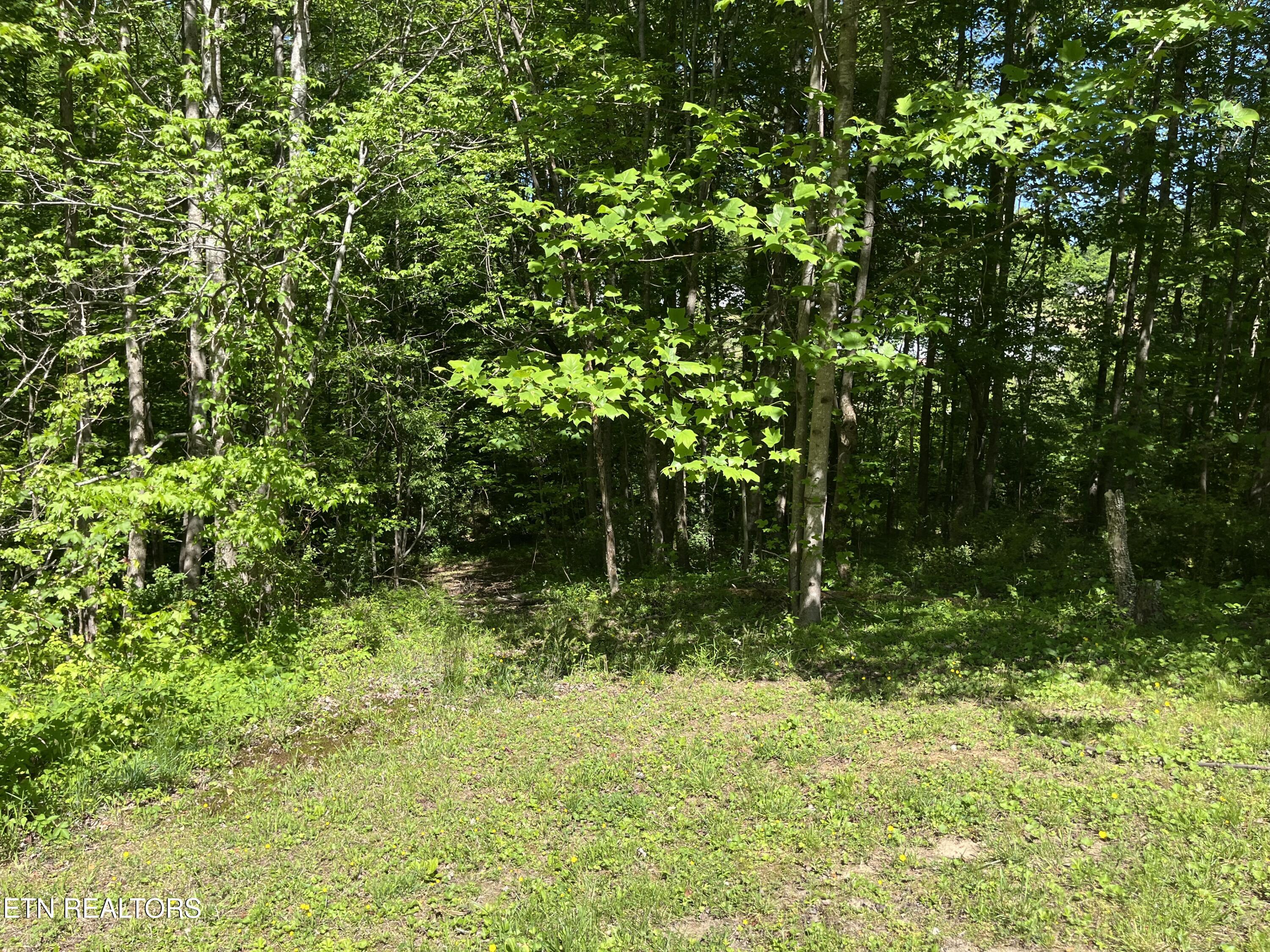 114 E C Noe Road Oliver Springs TN 37840