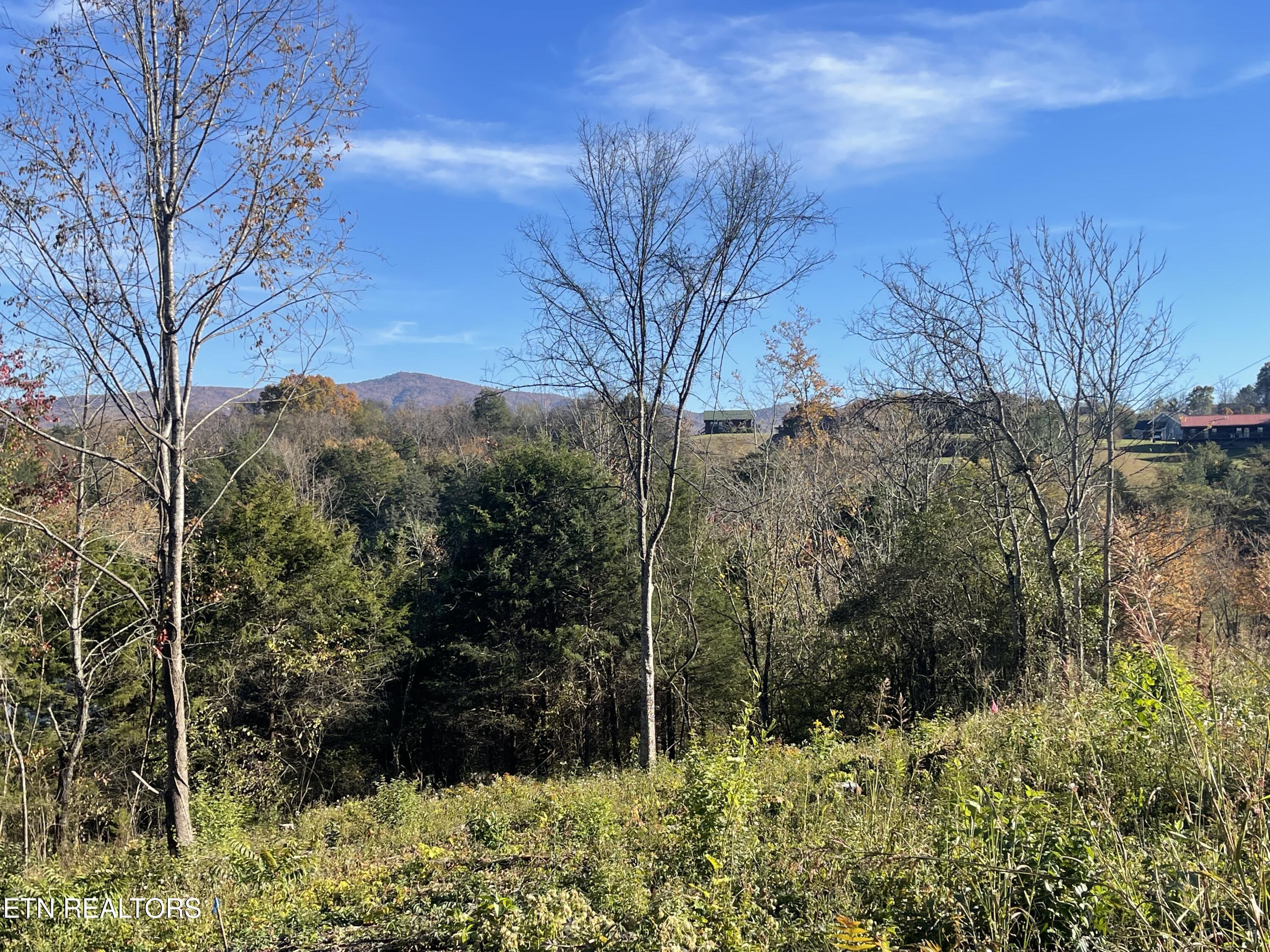 Mountain Ridge Newport TN 37821