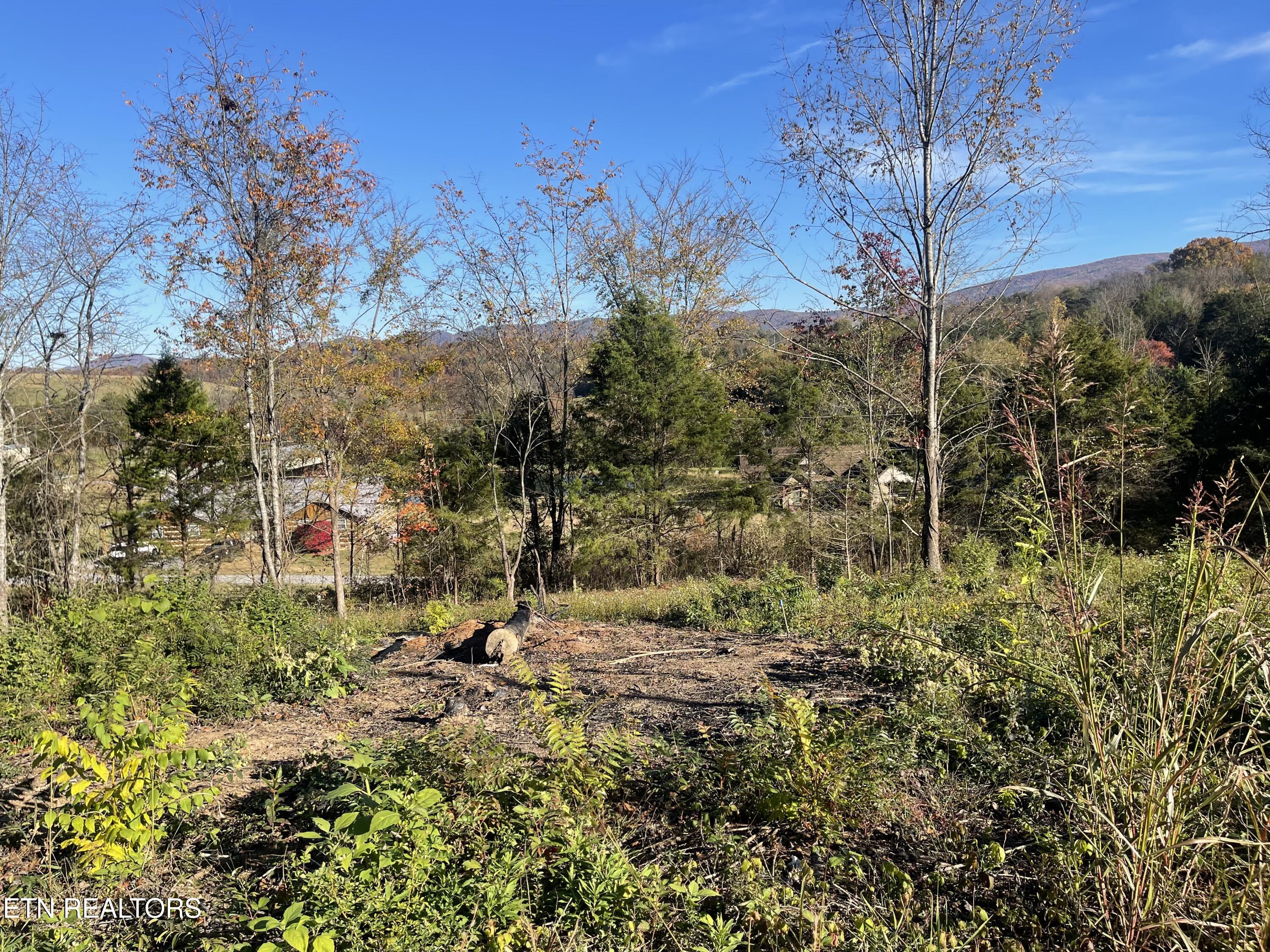 Mountain Ridge Newport TN 37821
