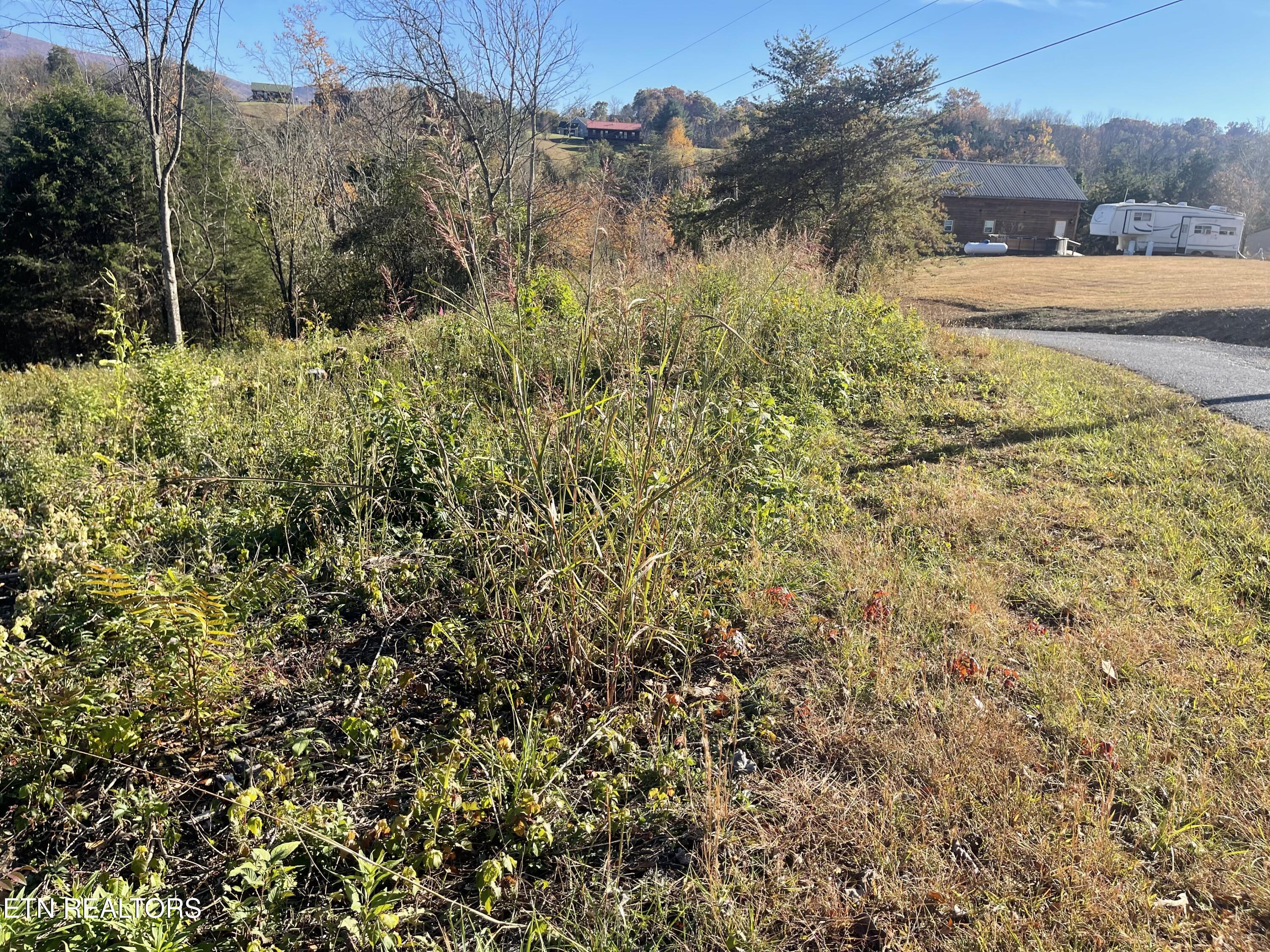 Mountain Ridge Newport TN 37821