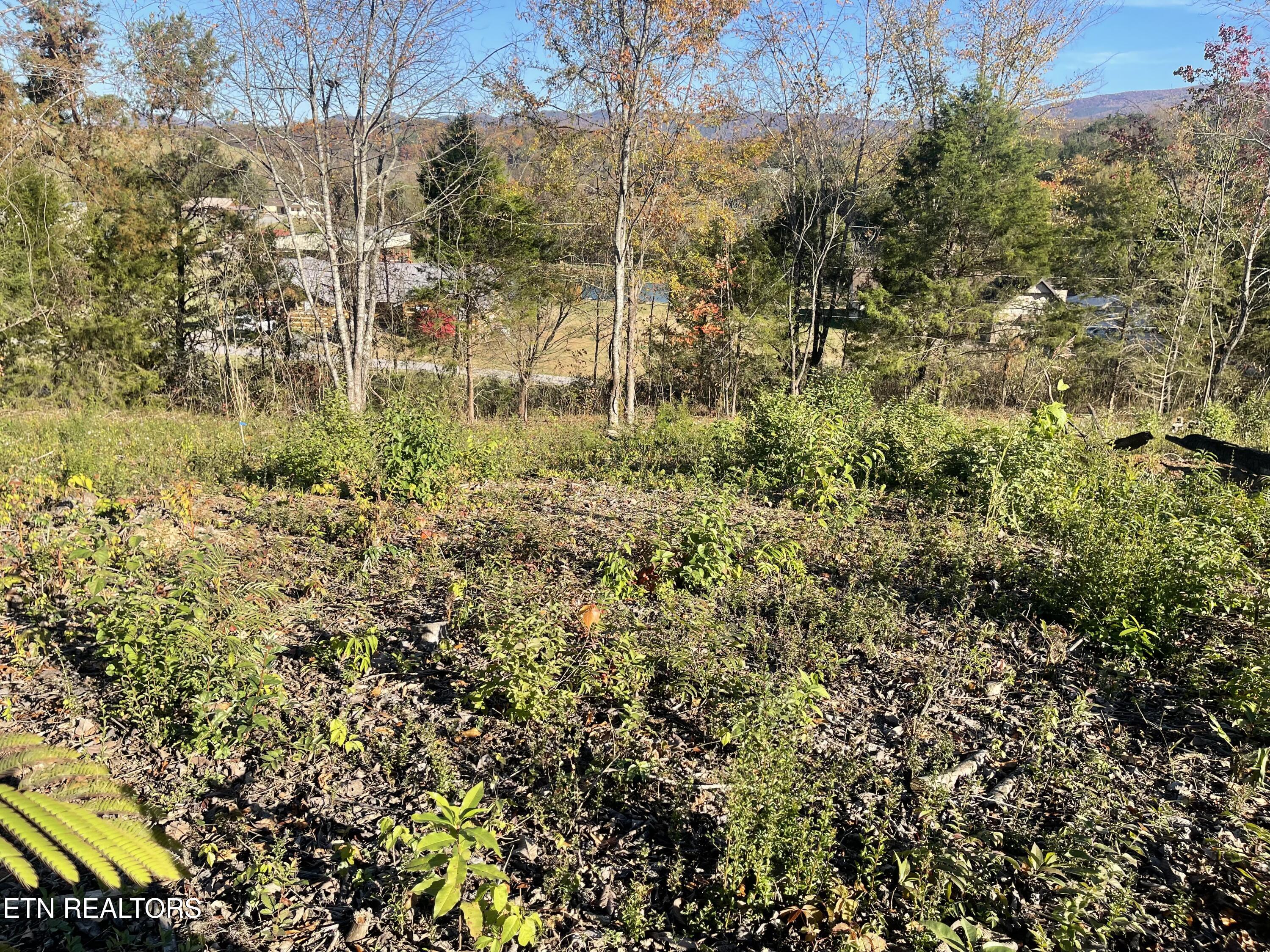 Mountain Ridge Newport TN 37821