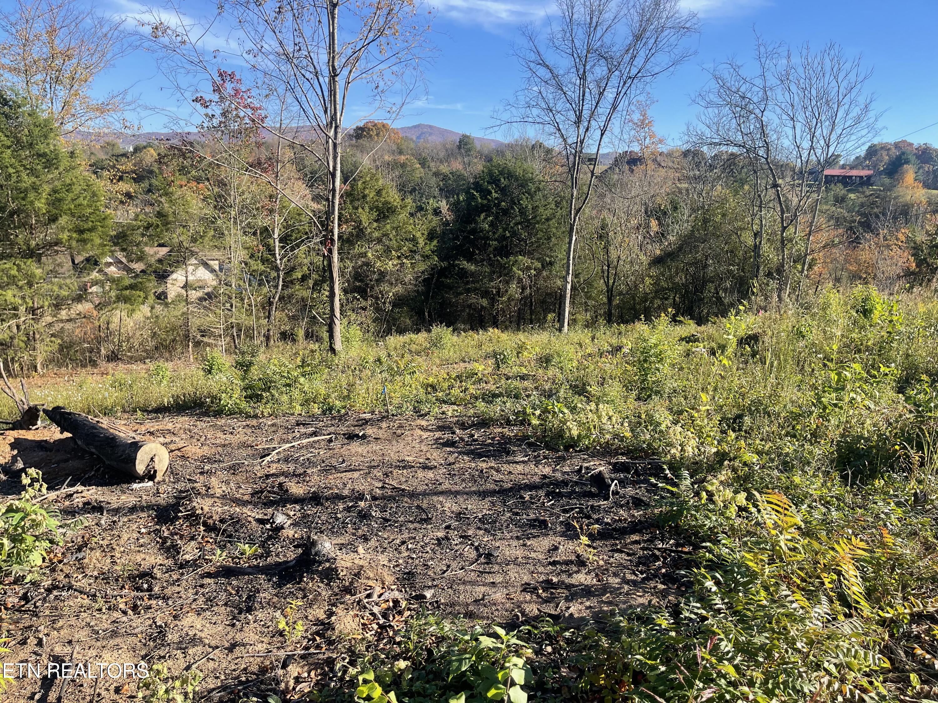 Mountain Ridge Newport TN 37821