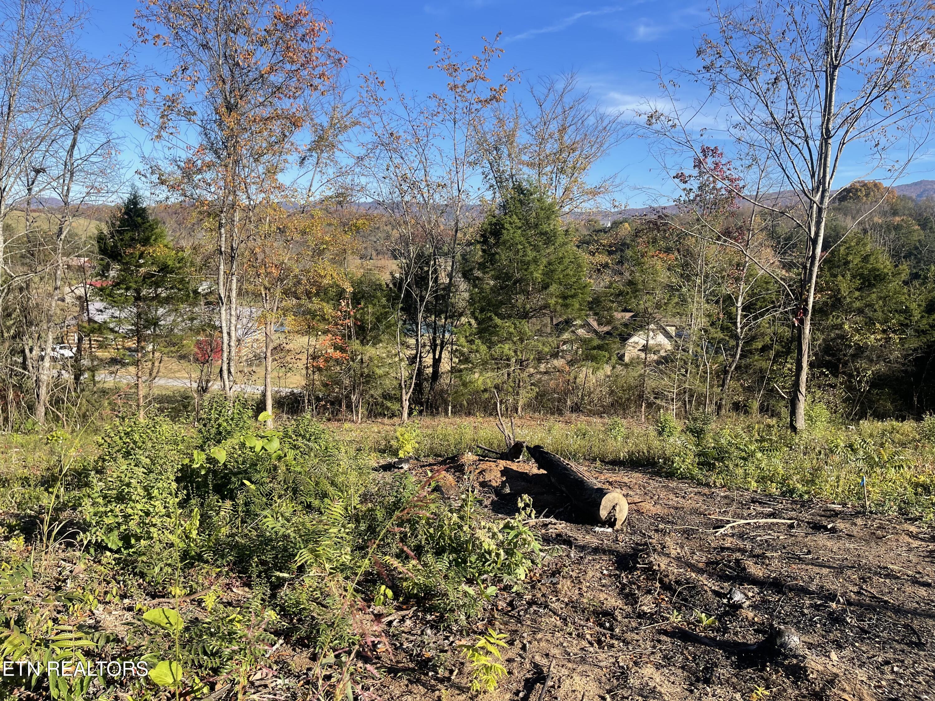Mountain Ridge Newport TN 37821