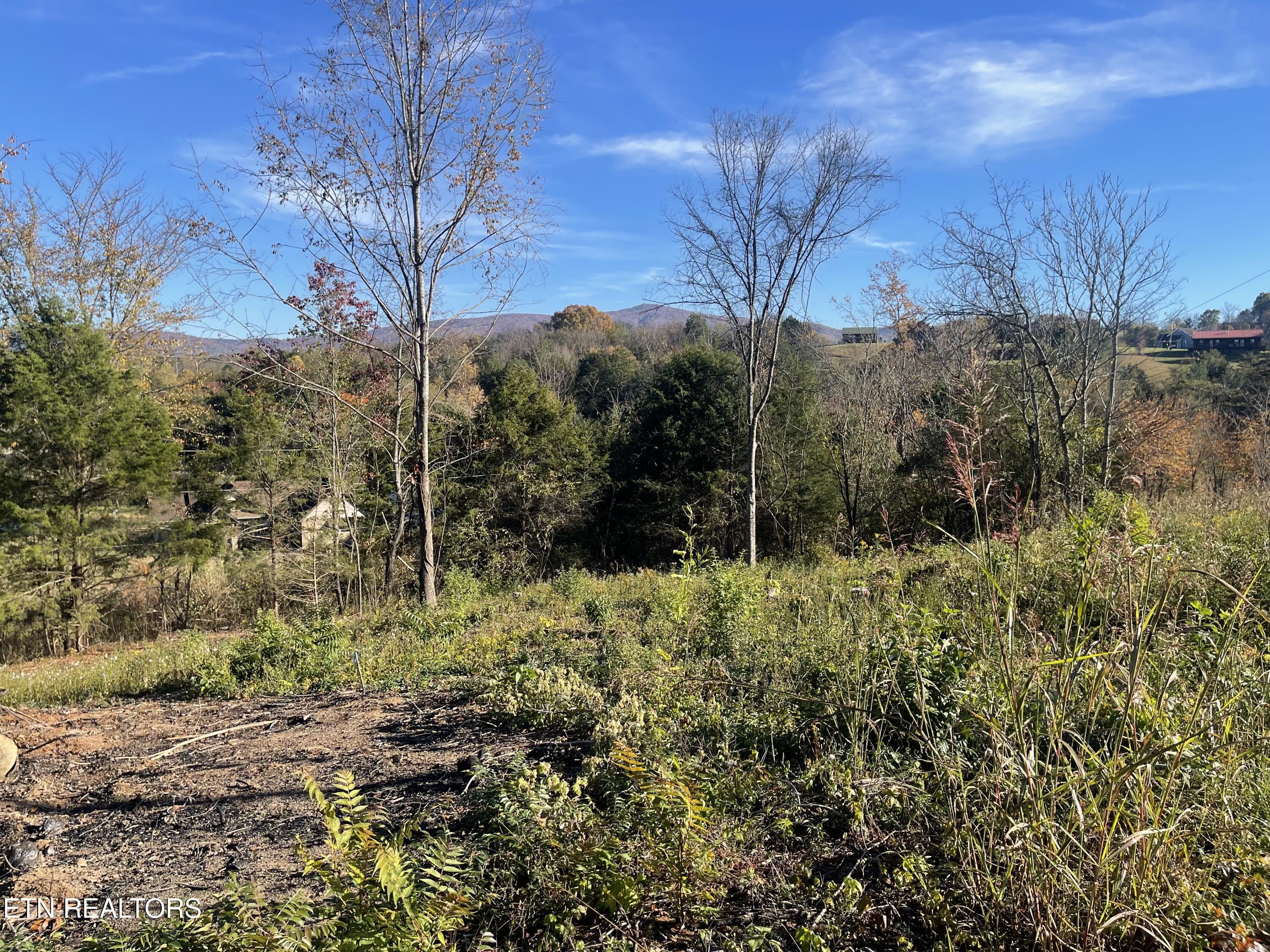 Mountain Ridge Newport TN 37821
