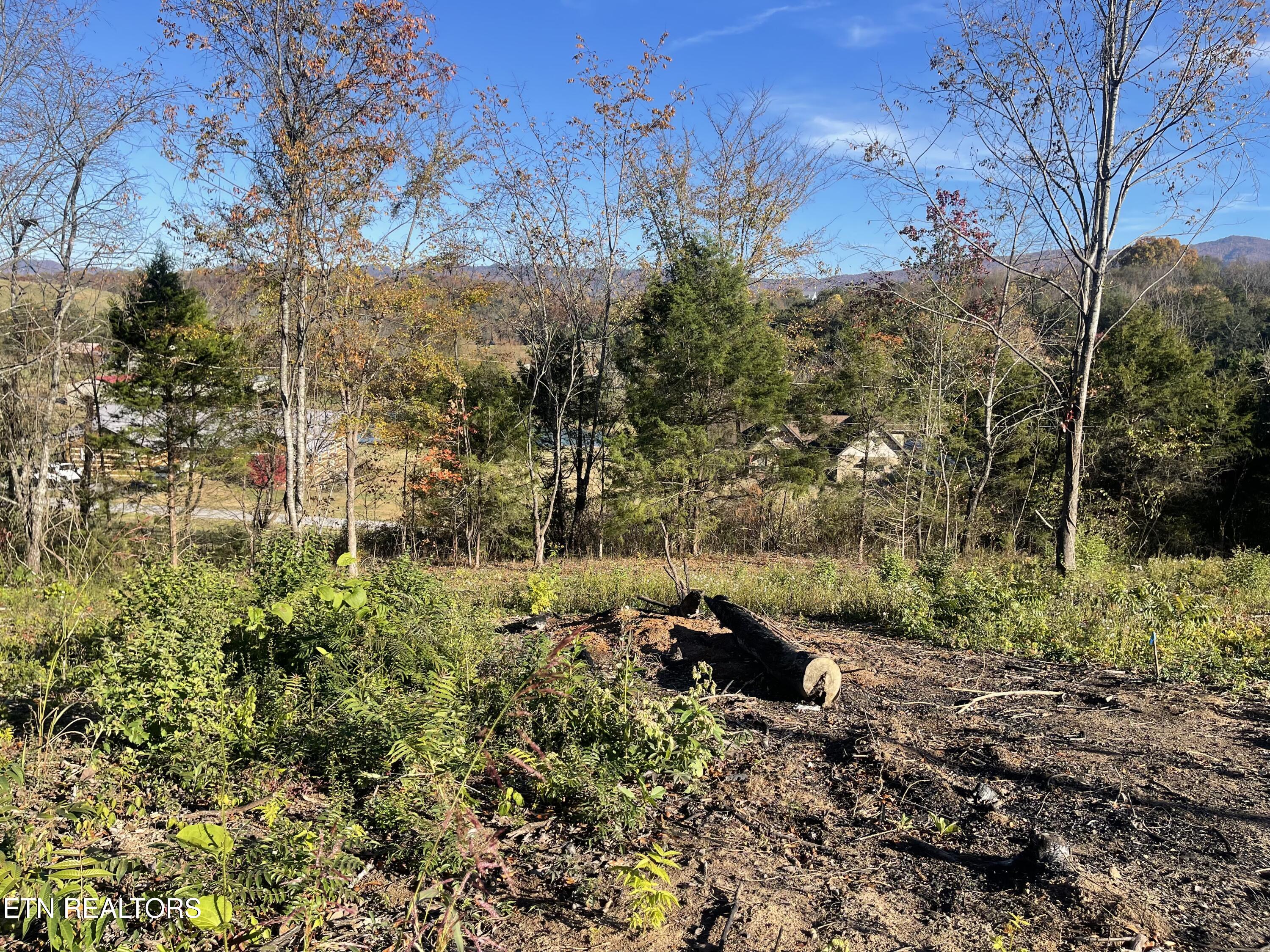 Mountain Ridge Newport TN 37821
