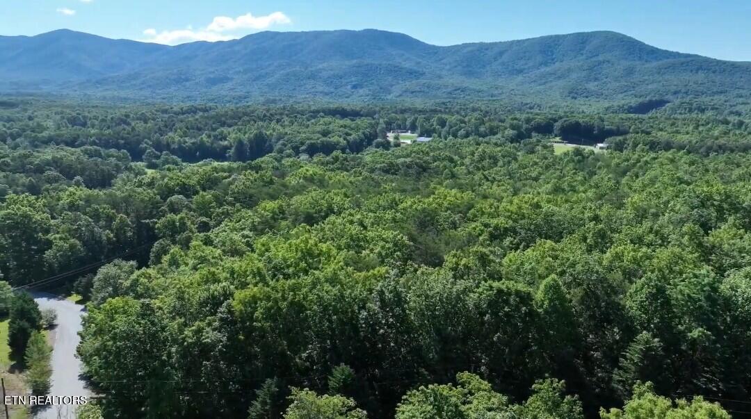 0 Coker Creek Lane Tellico Plains TN 37385
