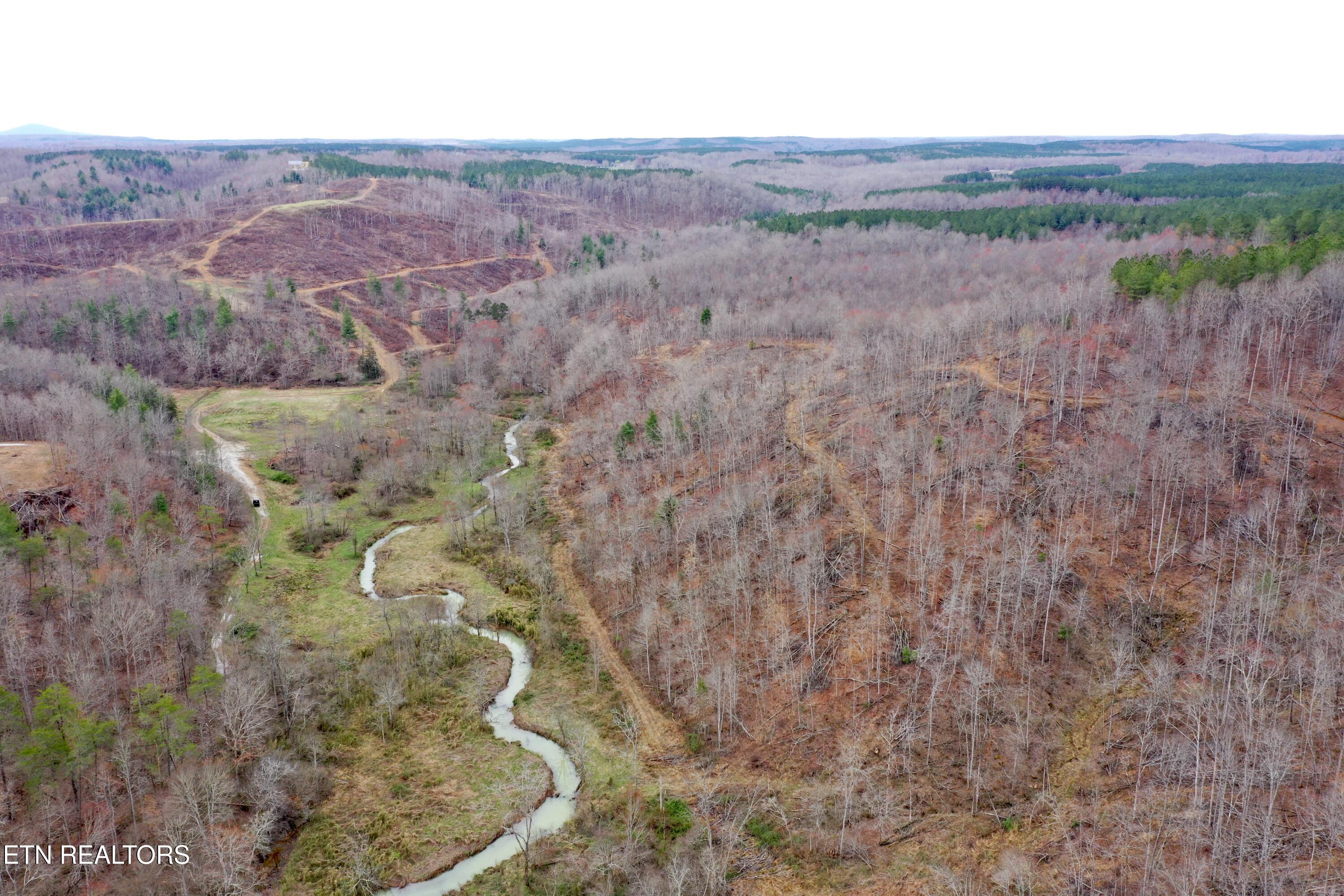 Skull Creek Road Robbins TN 37852