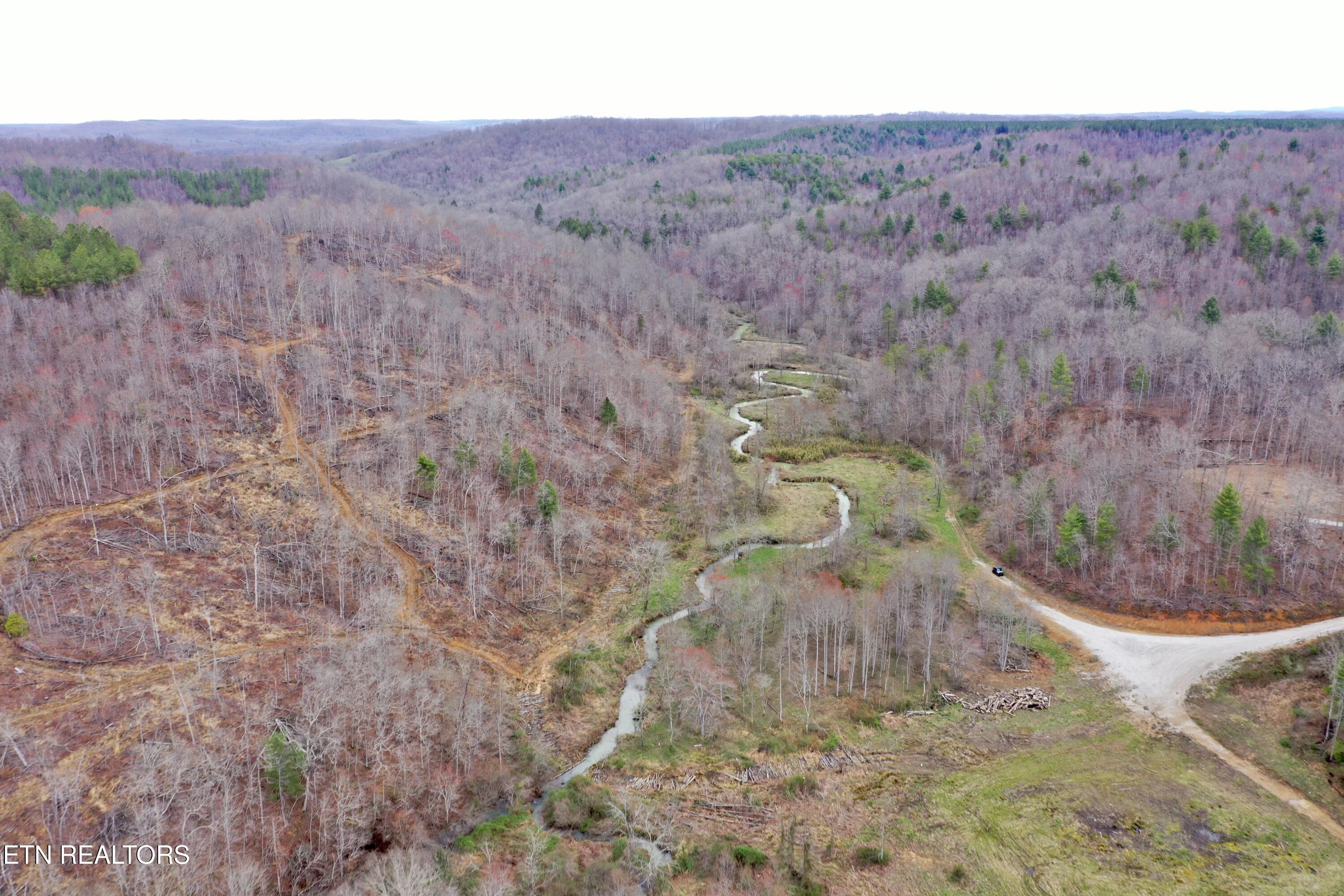 Skull Creek Road Robbins TN 37852