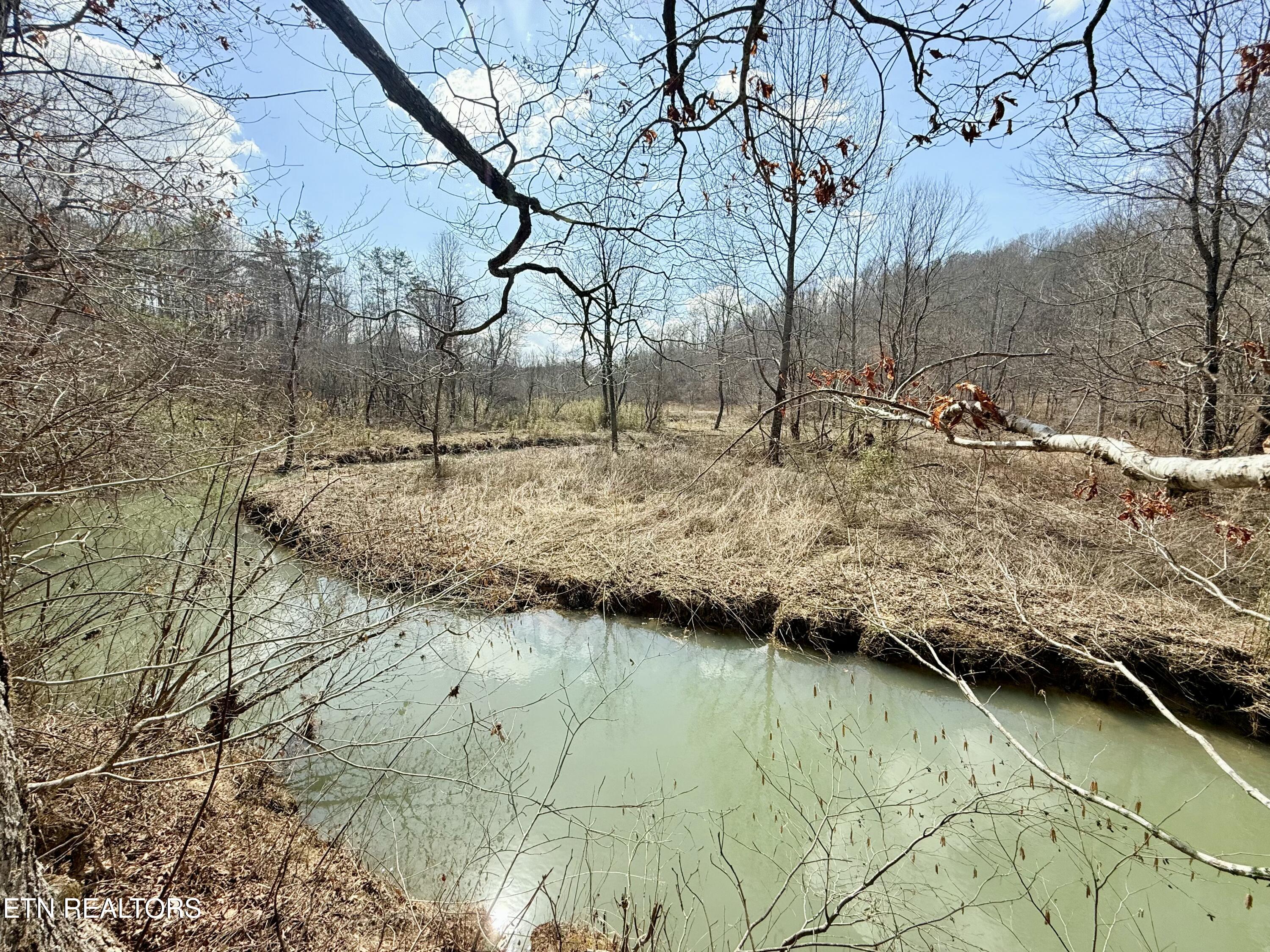 Skull Creek Road Robbins TN 37852