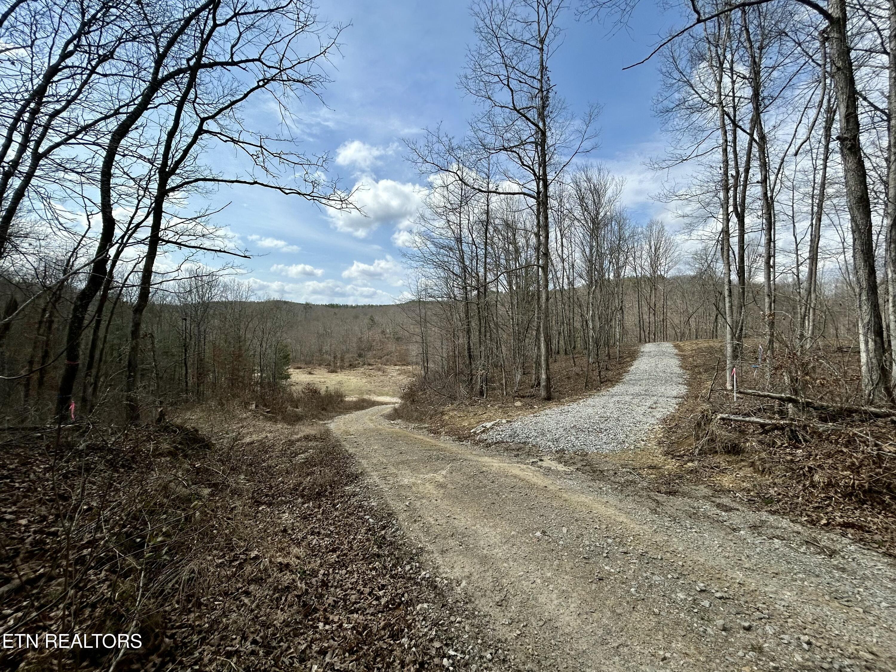 Skull Creek Road Robbins TN 37852