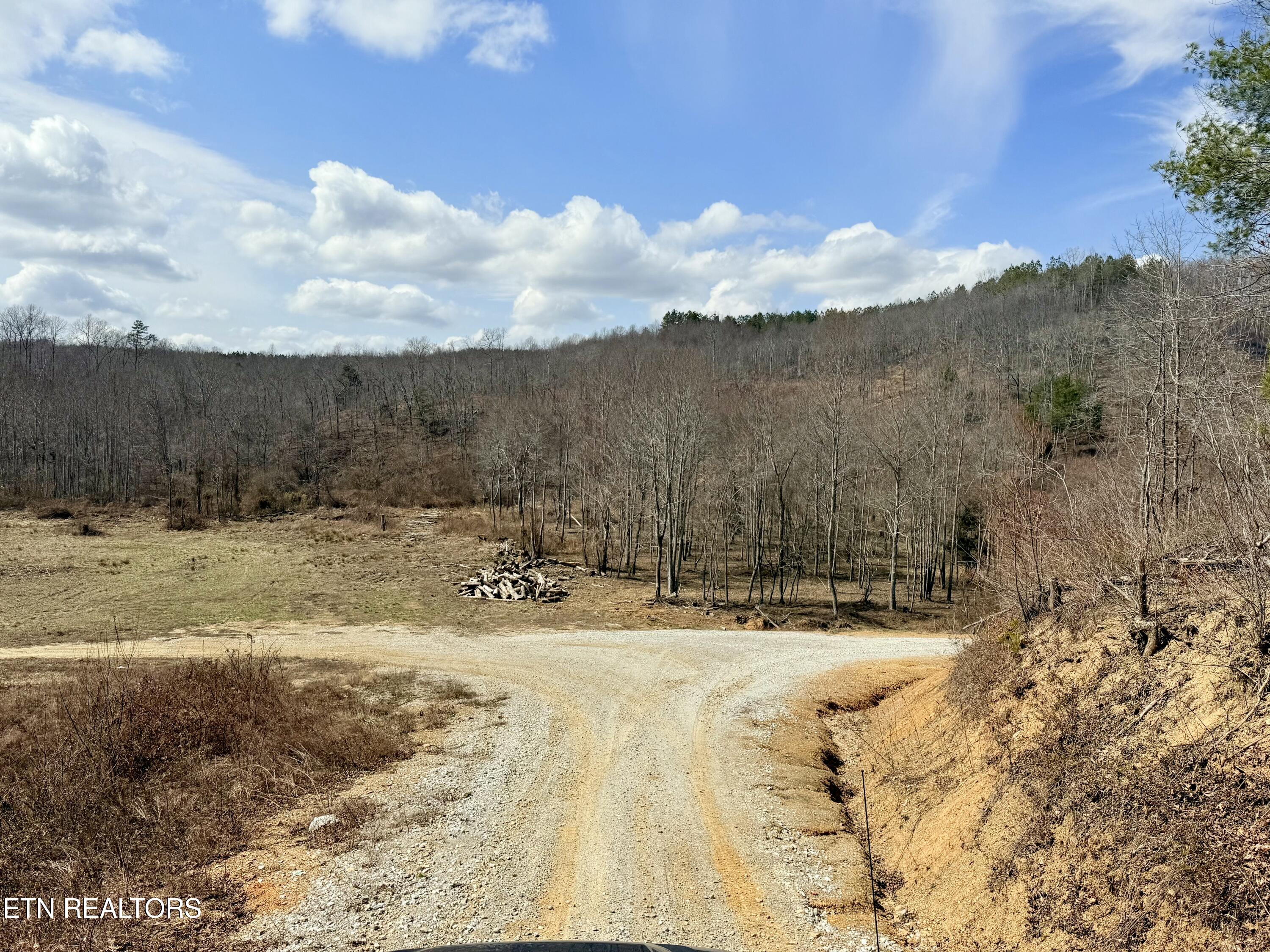 Skull Creek Road Robbins TN 37852