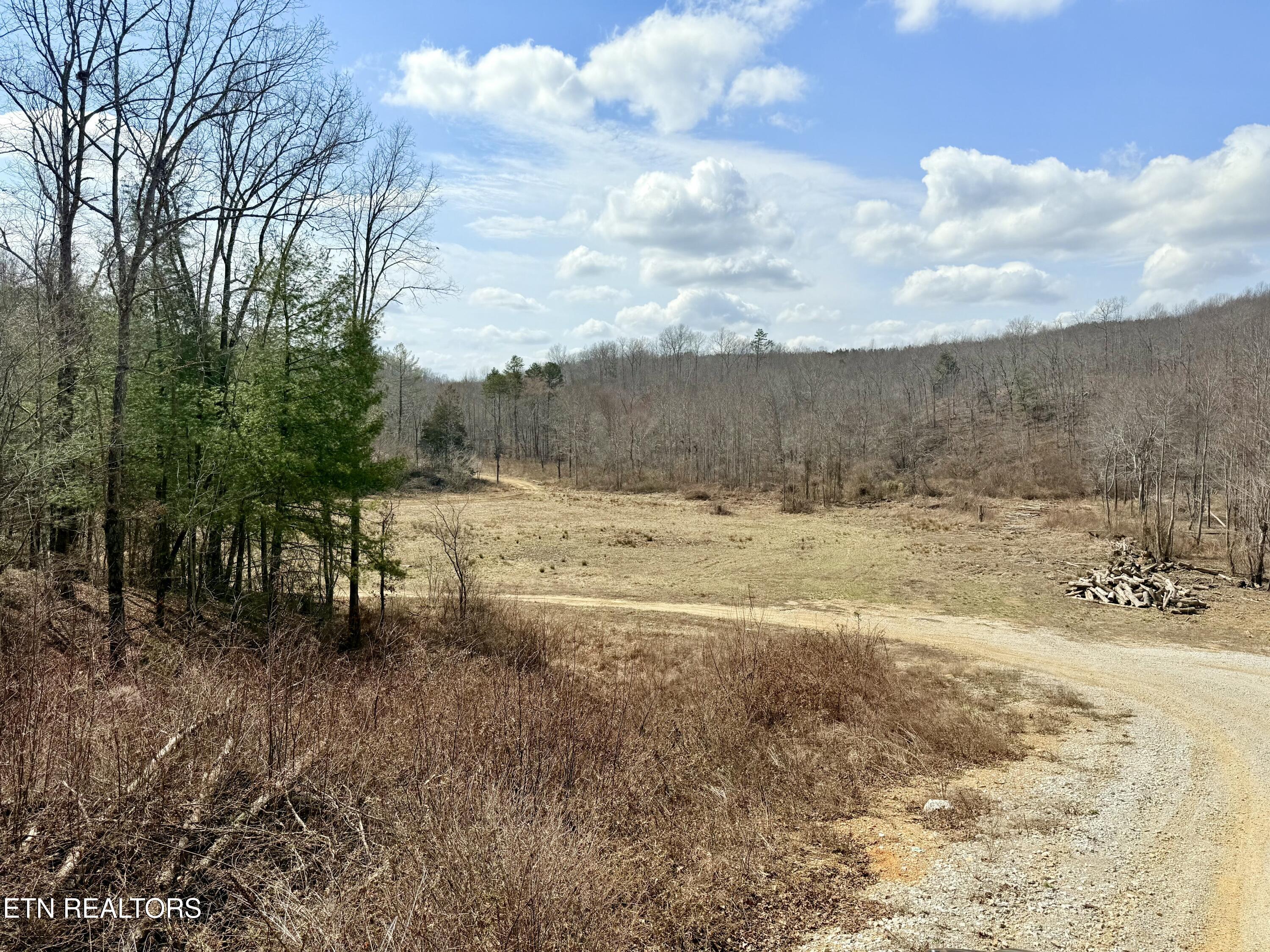Skull Creek Road Robbins TN 37852