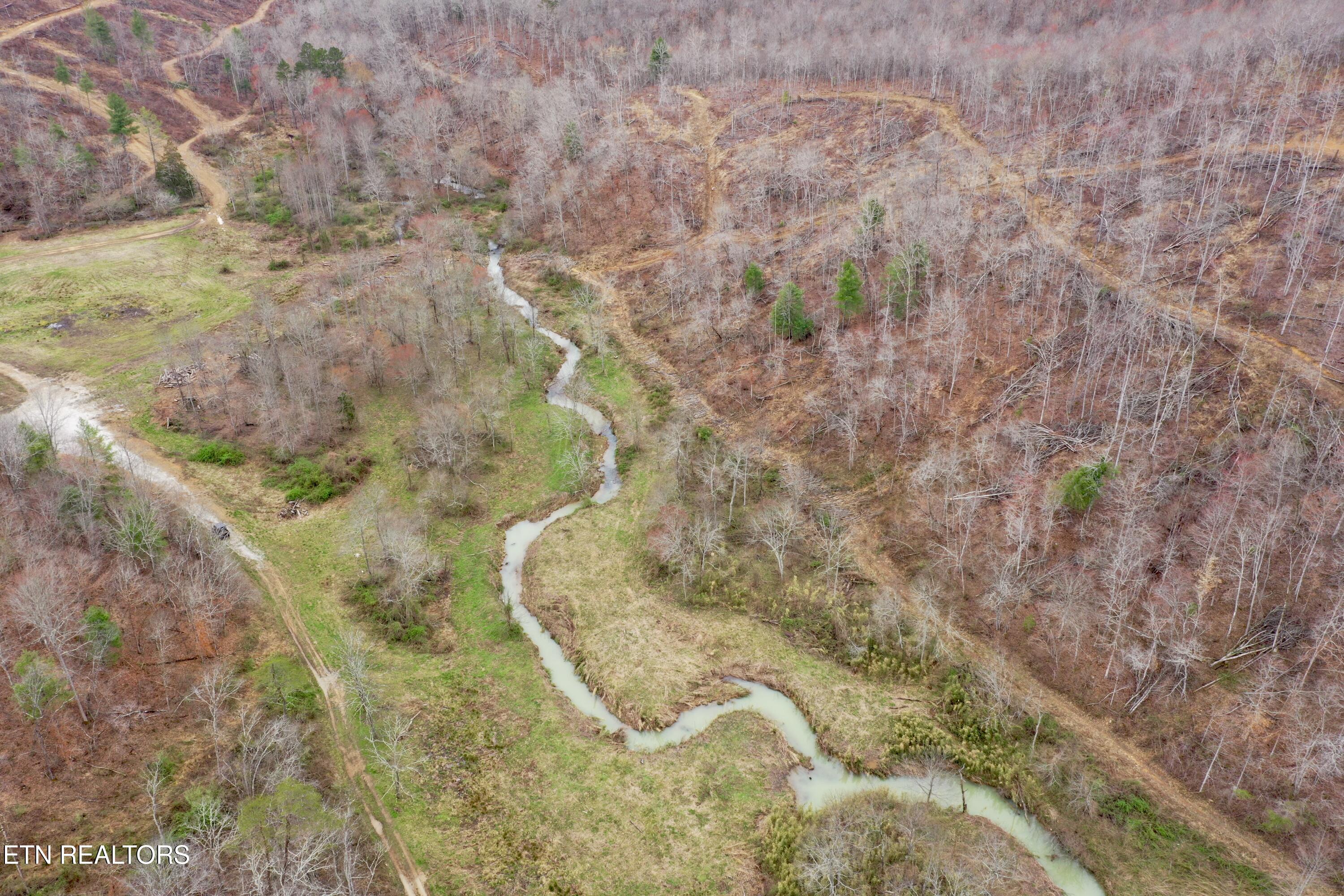 Skull Creek Road Robbins TN 37852