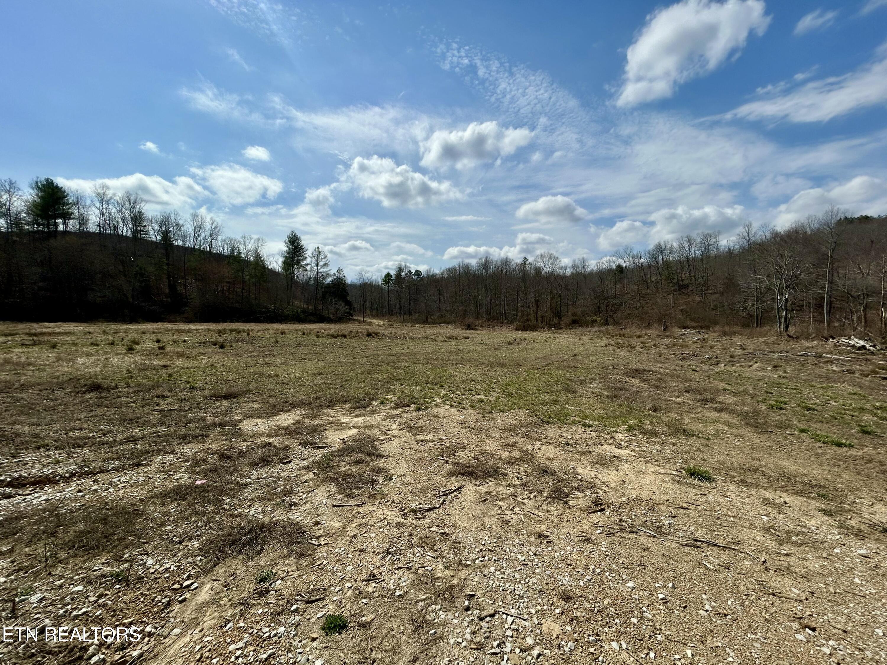 Skull Creek Road Robbins TN 37852