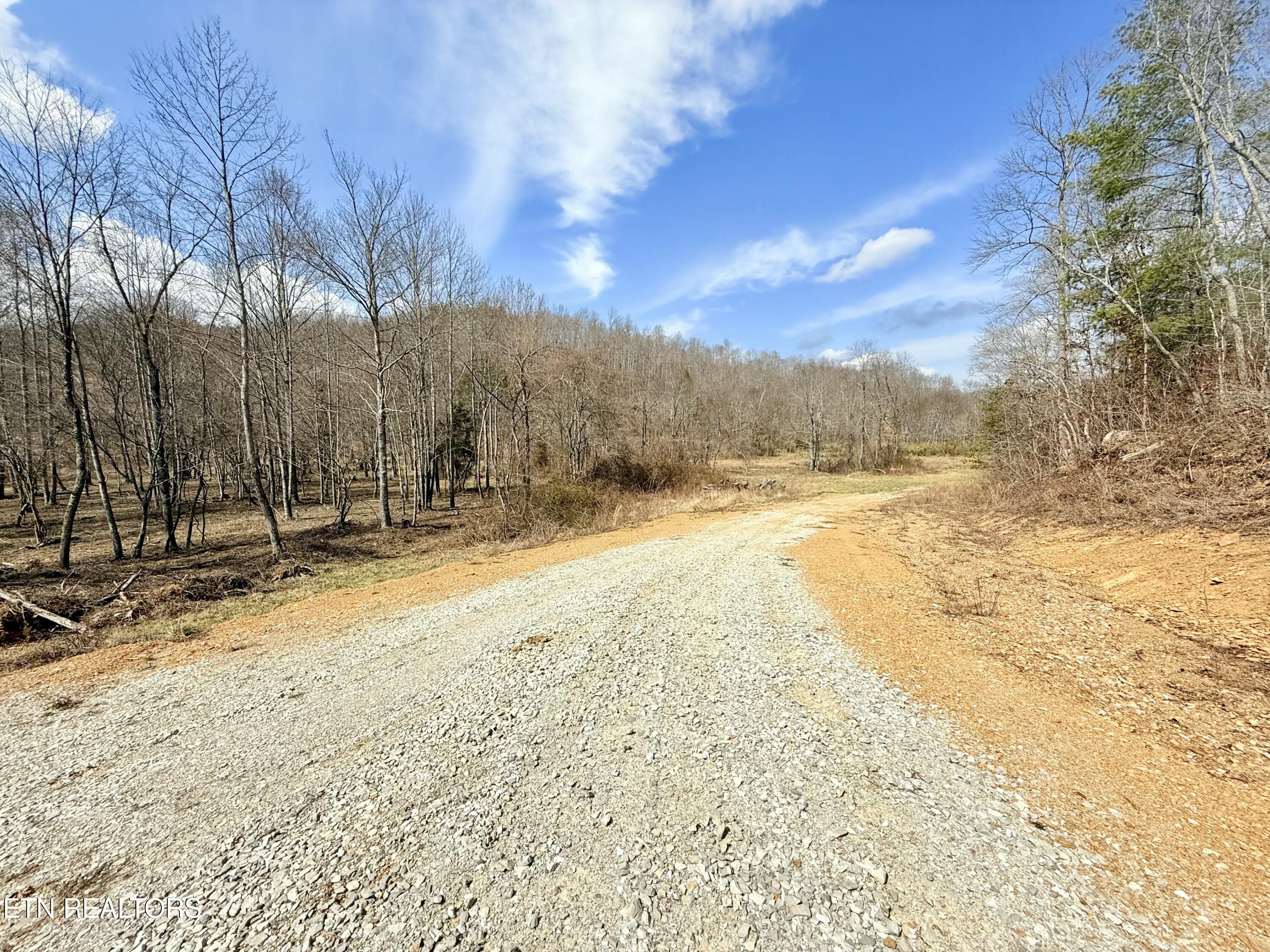 Skull Creek Road Robbins TN 37852