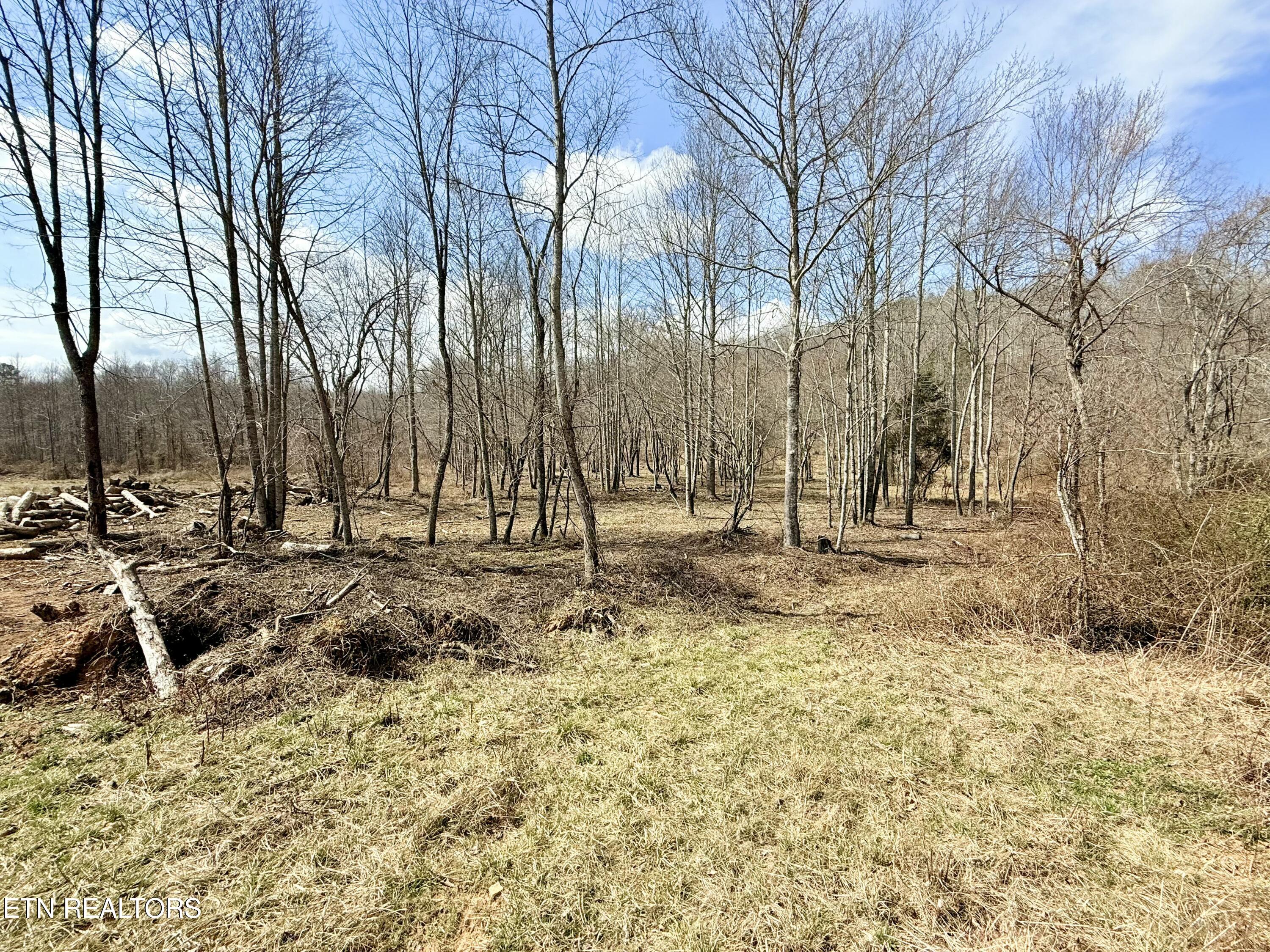 Skull Creek Road Robbins TN 37852