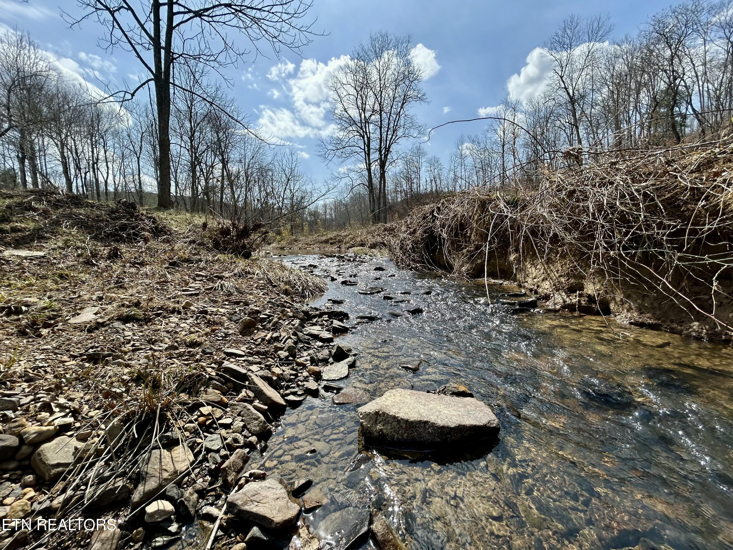 Skull Creek Road Robbins TN 37852