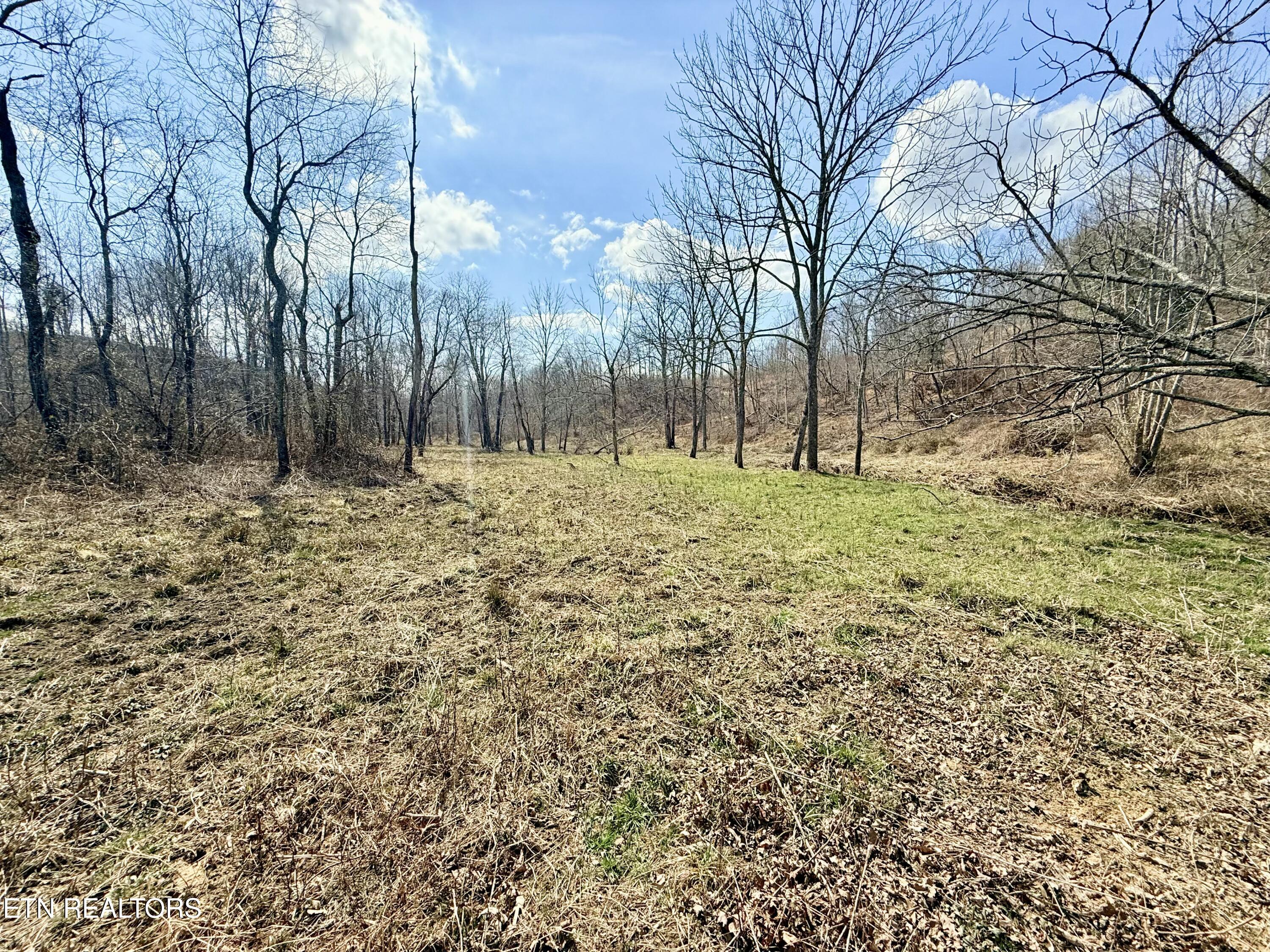 Skull Creek Road Robbins TN 37852