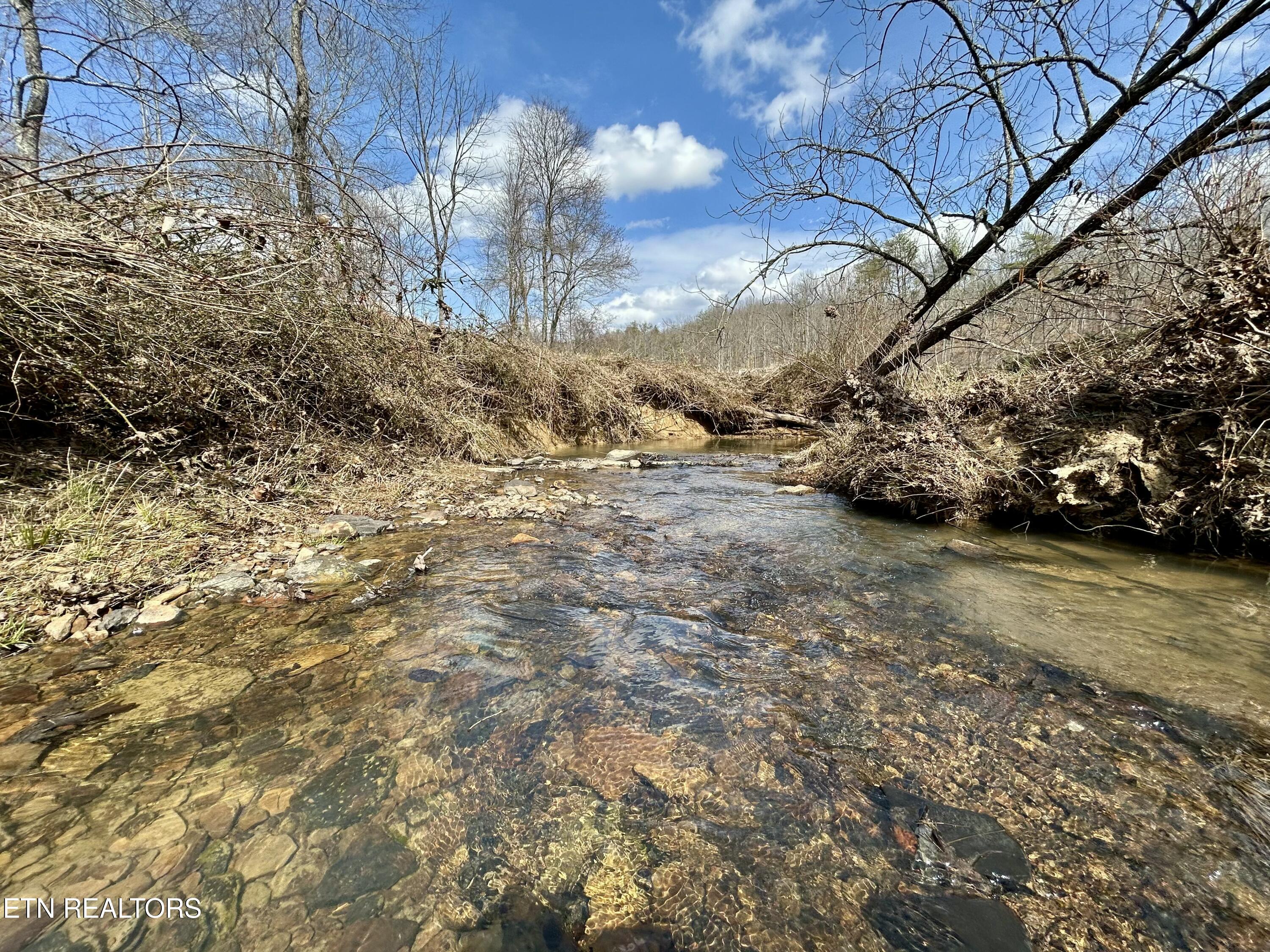 Skull Creek Road Robbins TN 37852