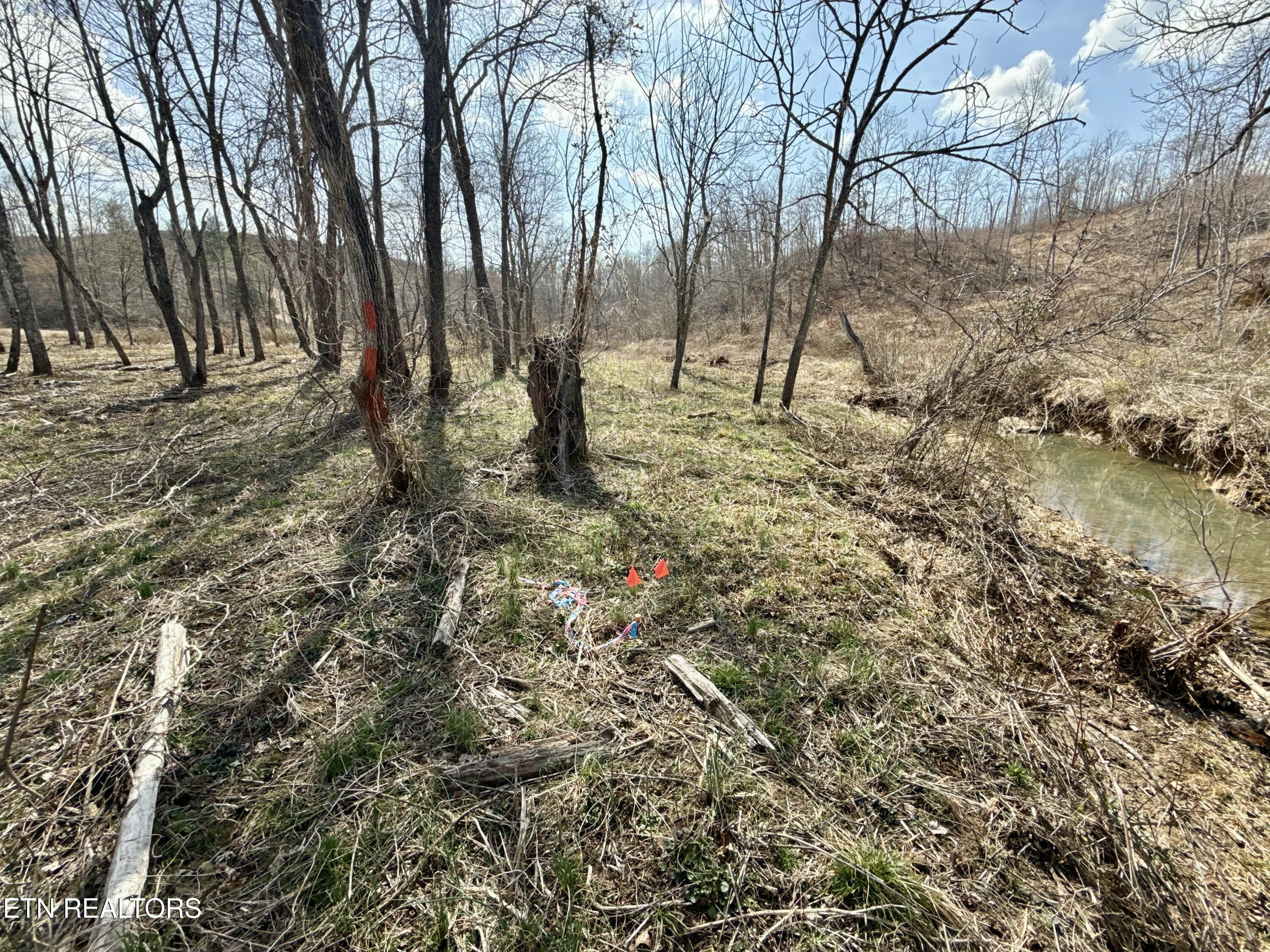 Skull Creek Road Robbins TN 37852