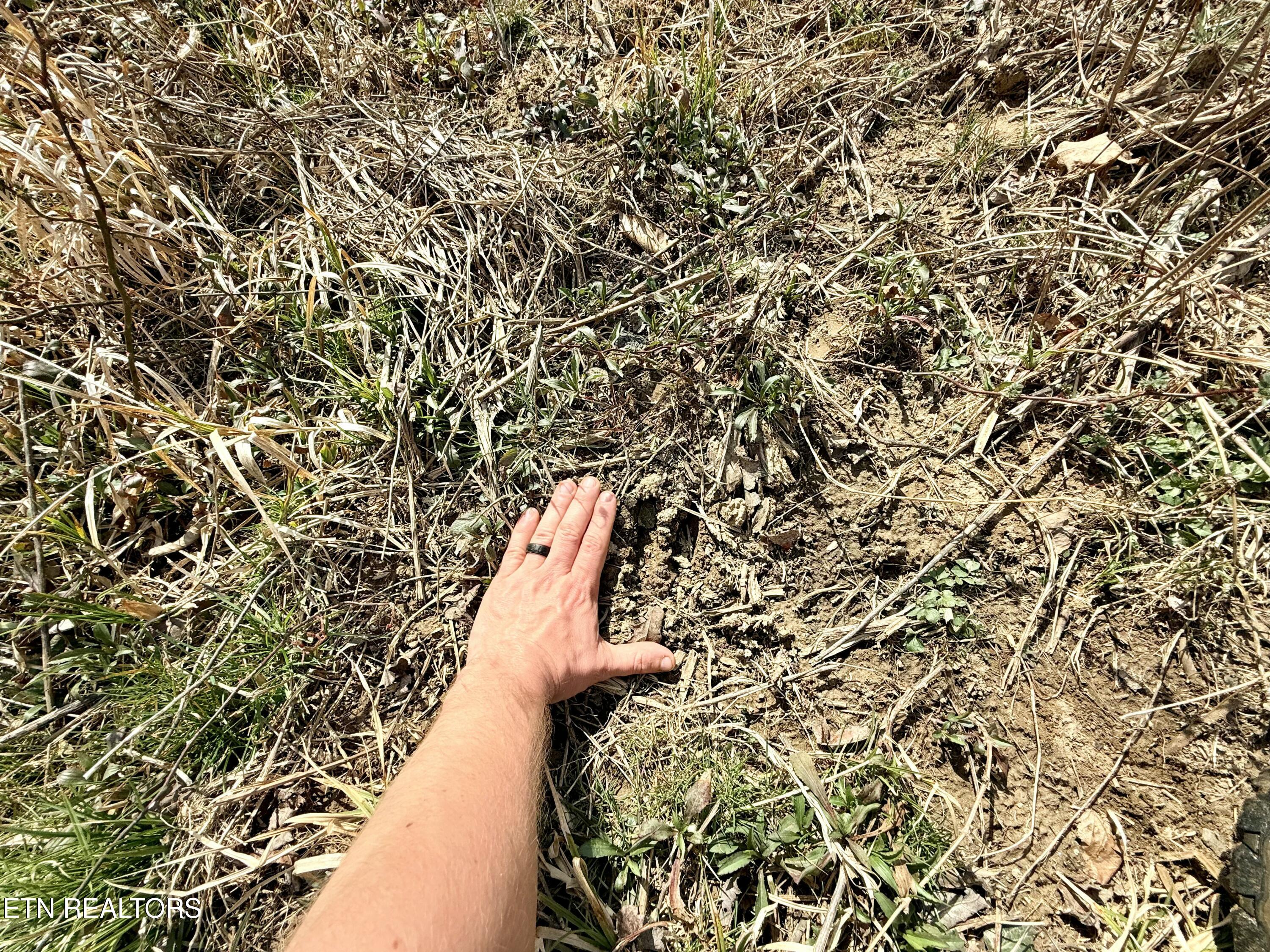 Skull Creek Road Robbins TN 37852