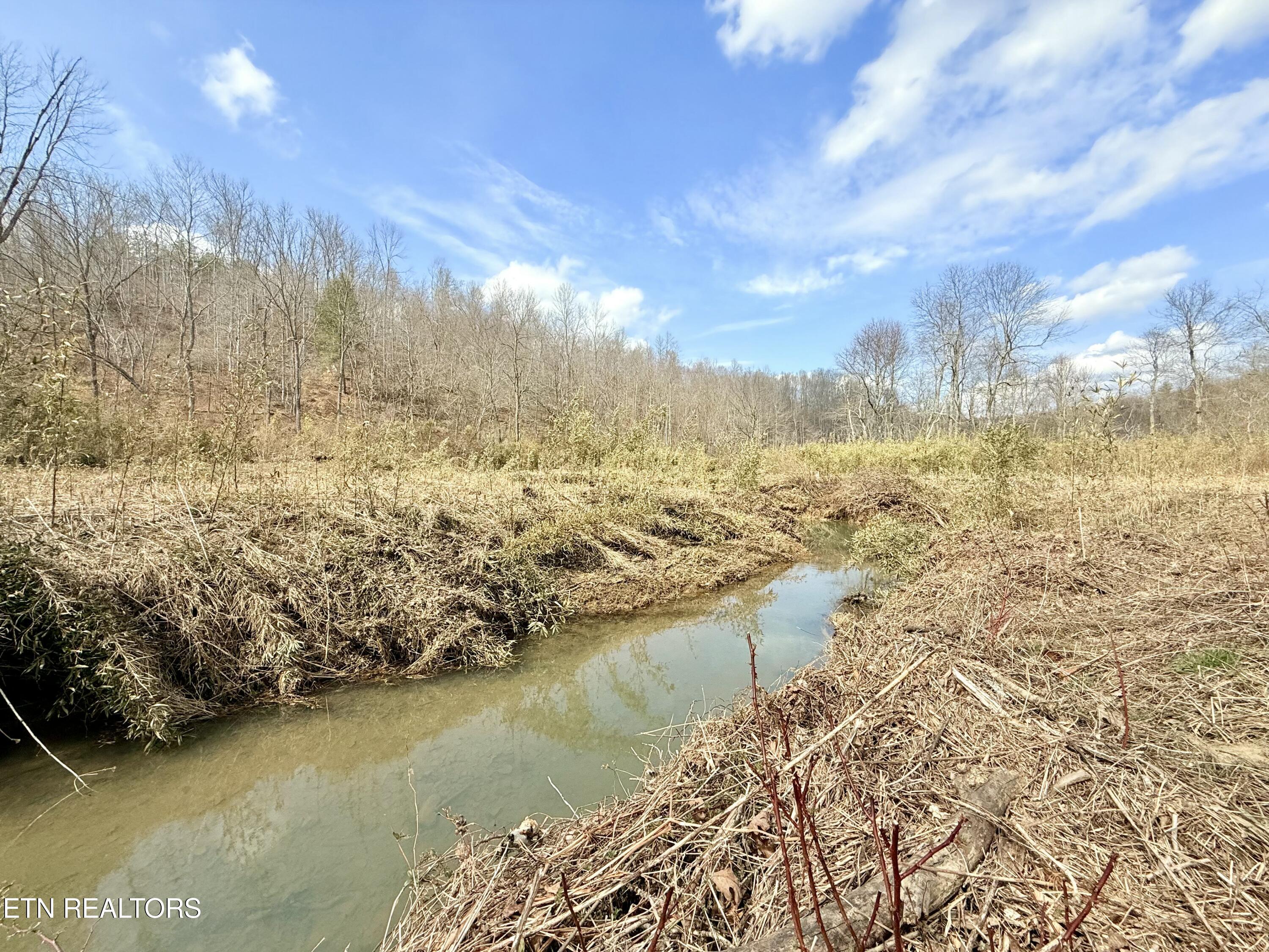 Skull Creek Road Robbins TN 37852
