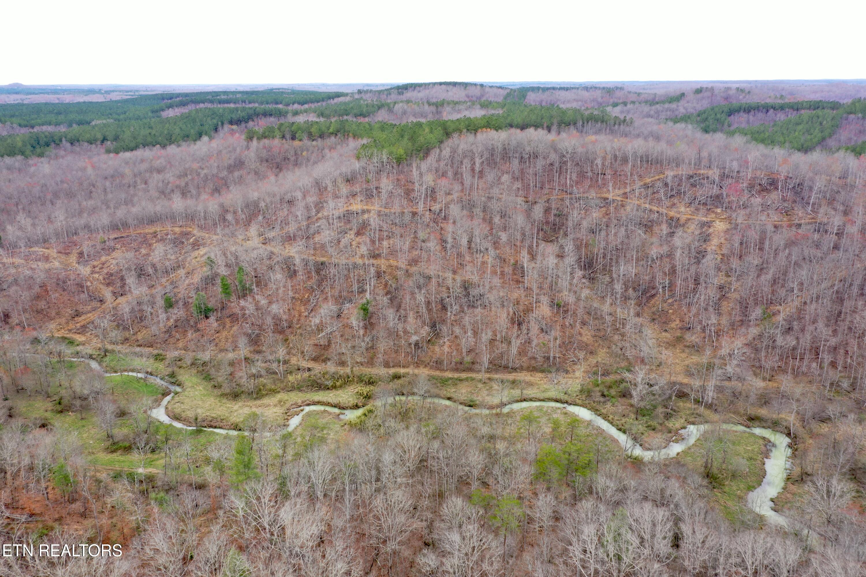 Skull Creek Road Robbins TN 37852