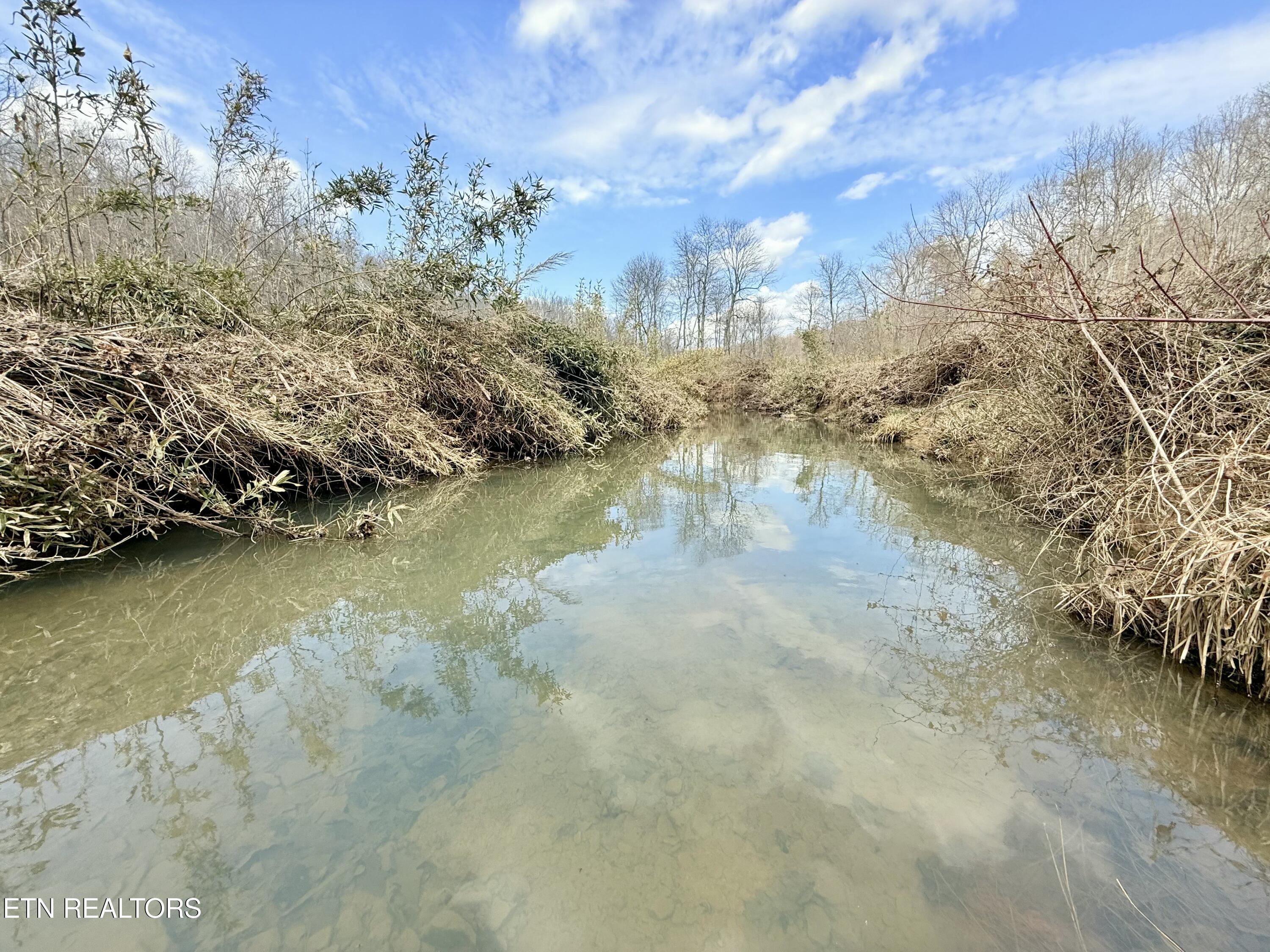 Skull Creek Road Robbins TN 37852
