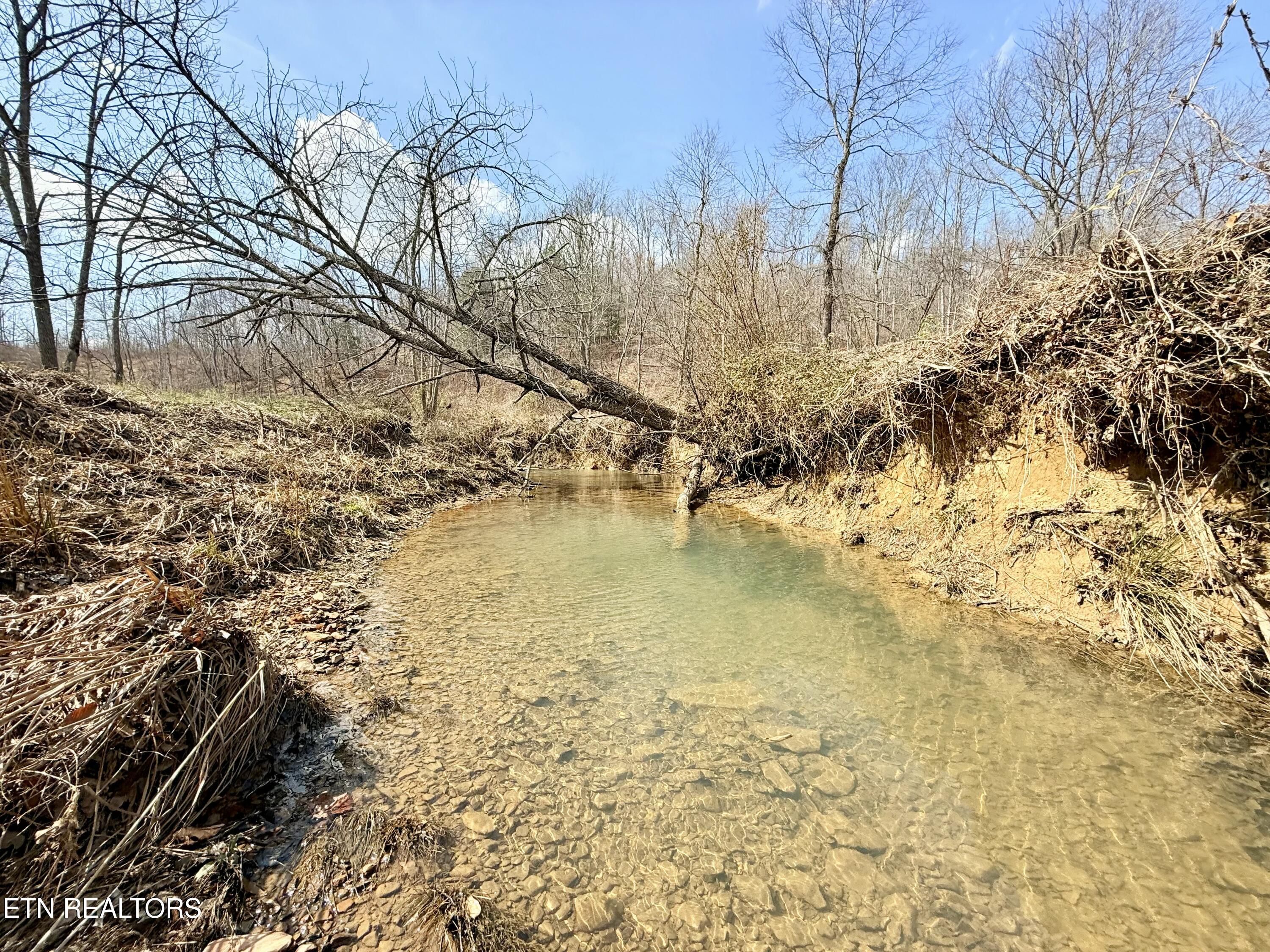Skull Creek Road Robbins TN 37852