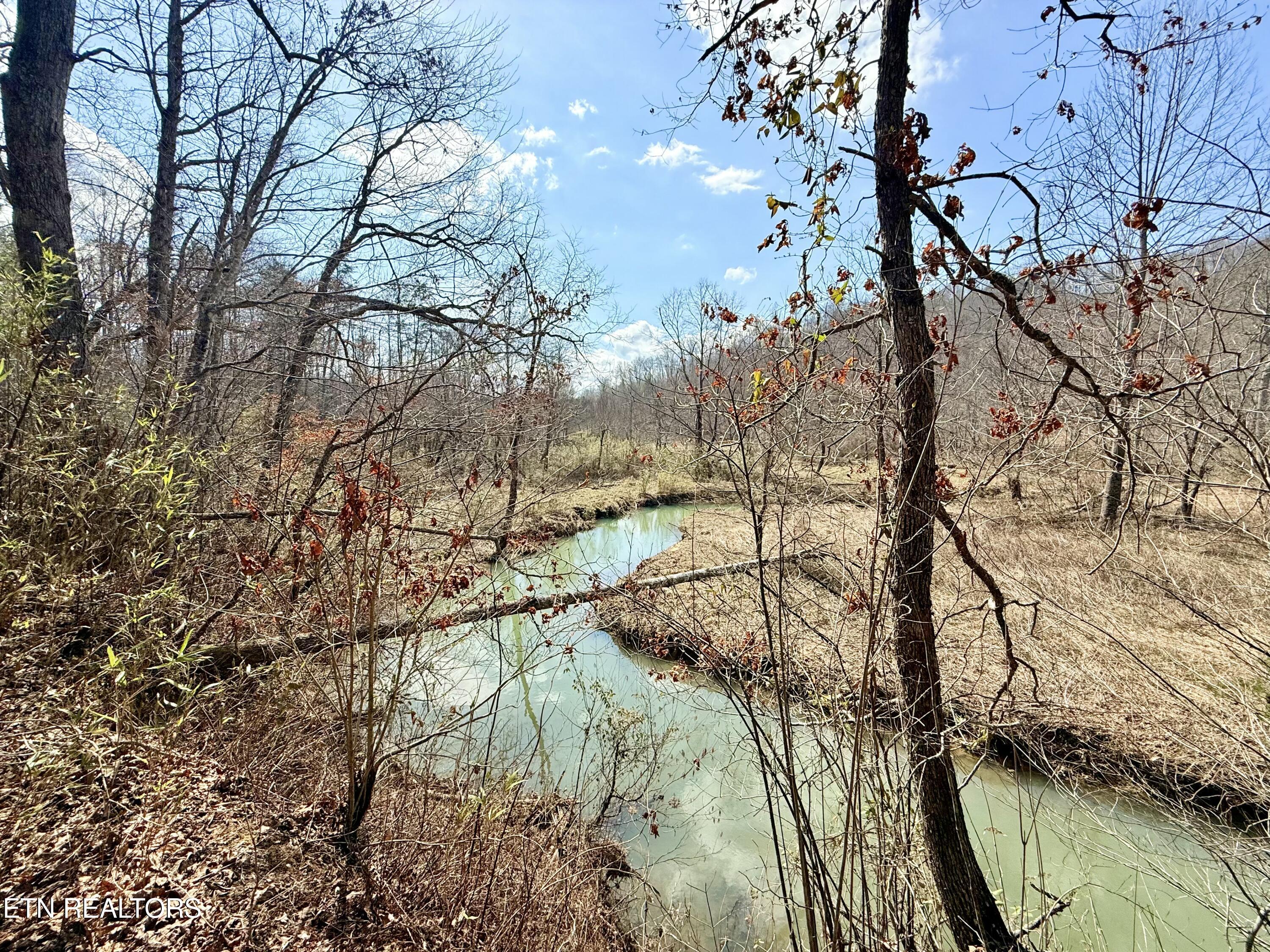 Skull Creek Road Robbins TN 37852