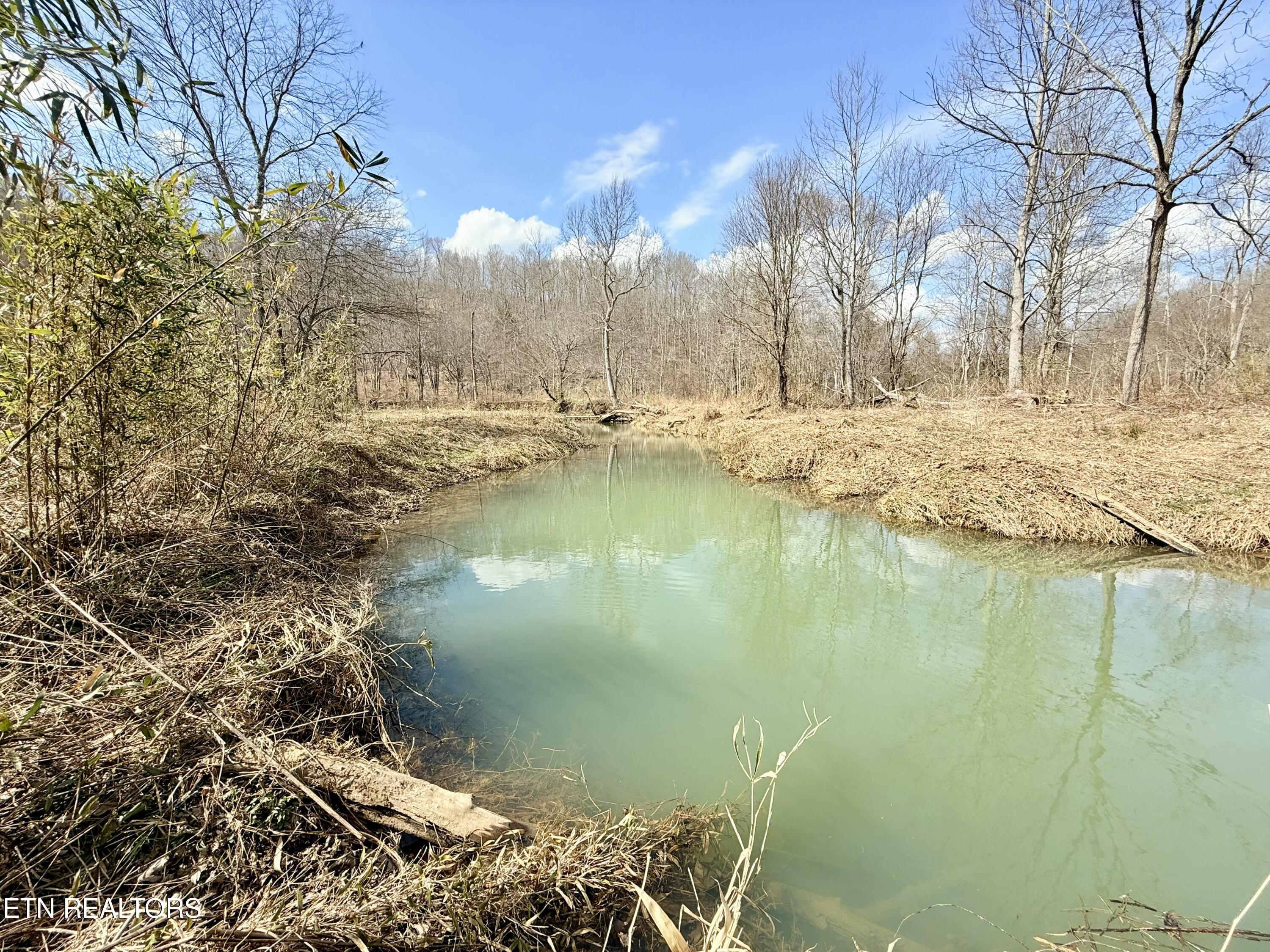 Skull Creek Road Robbins TN 37852