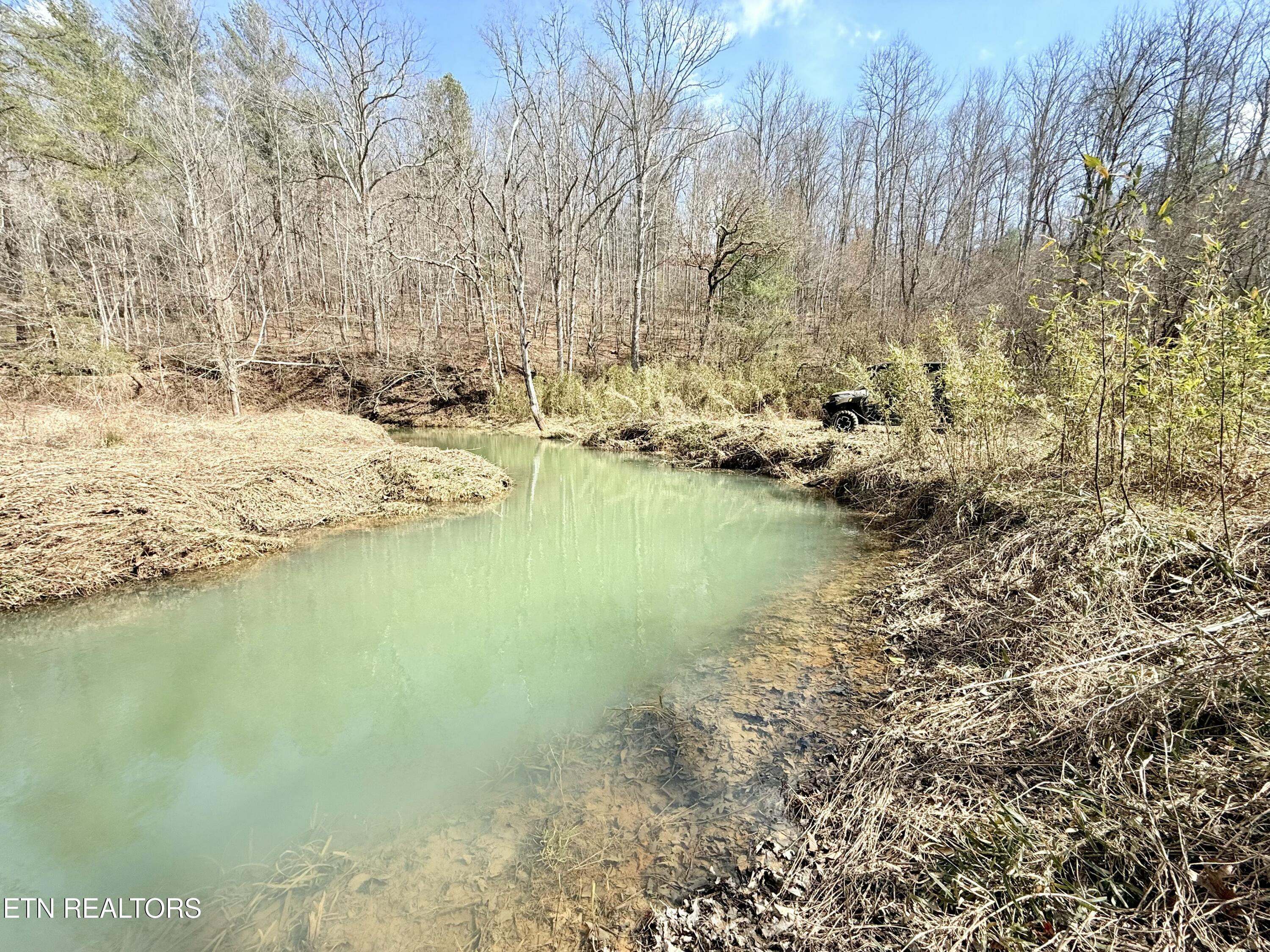 Skull Creek Road Robbins TN 37852