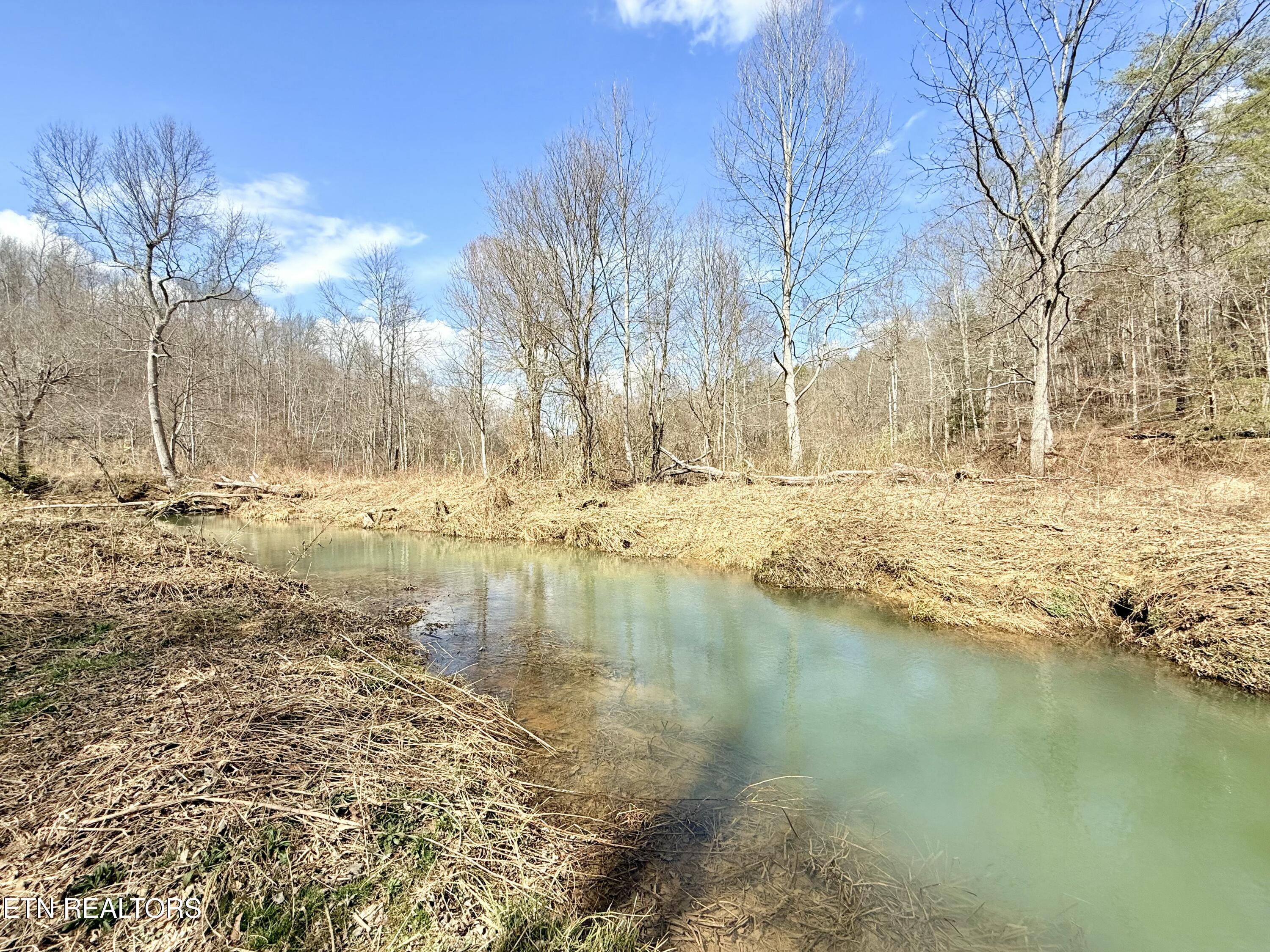Skull Creek Road Robbins TN 37852