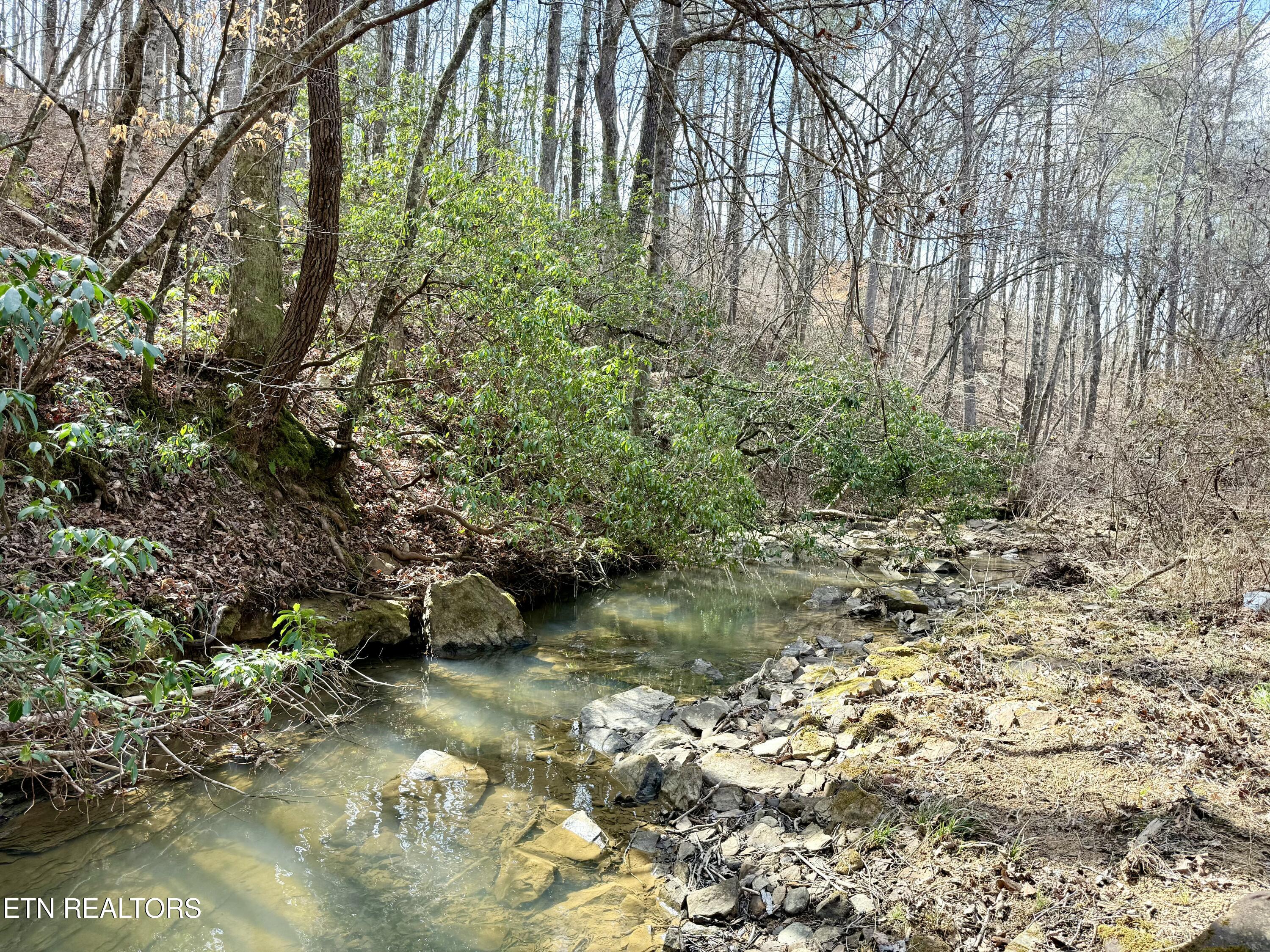 Skull Creek Road Robbins TN 37852