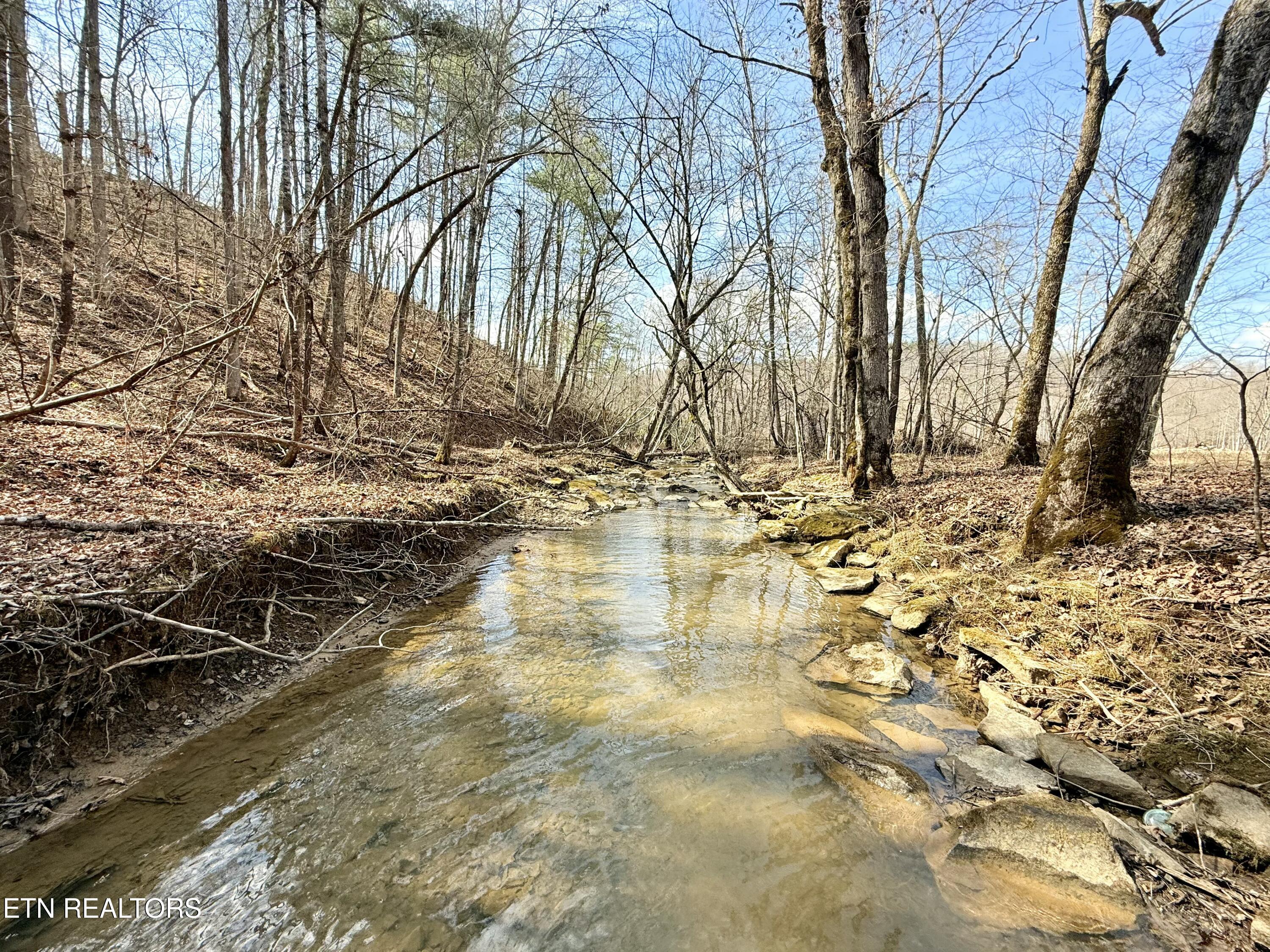 Skull Creek Road Robbins TN 37852