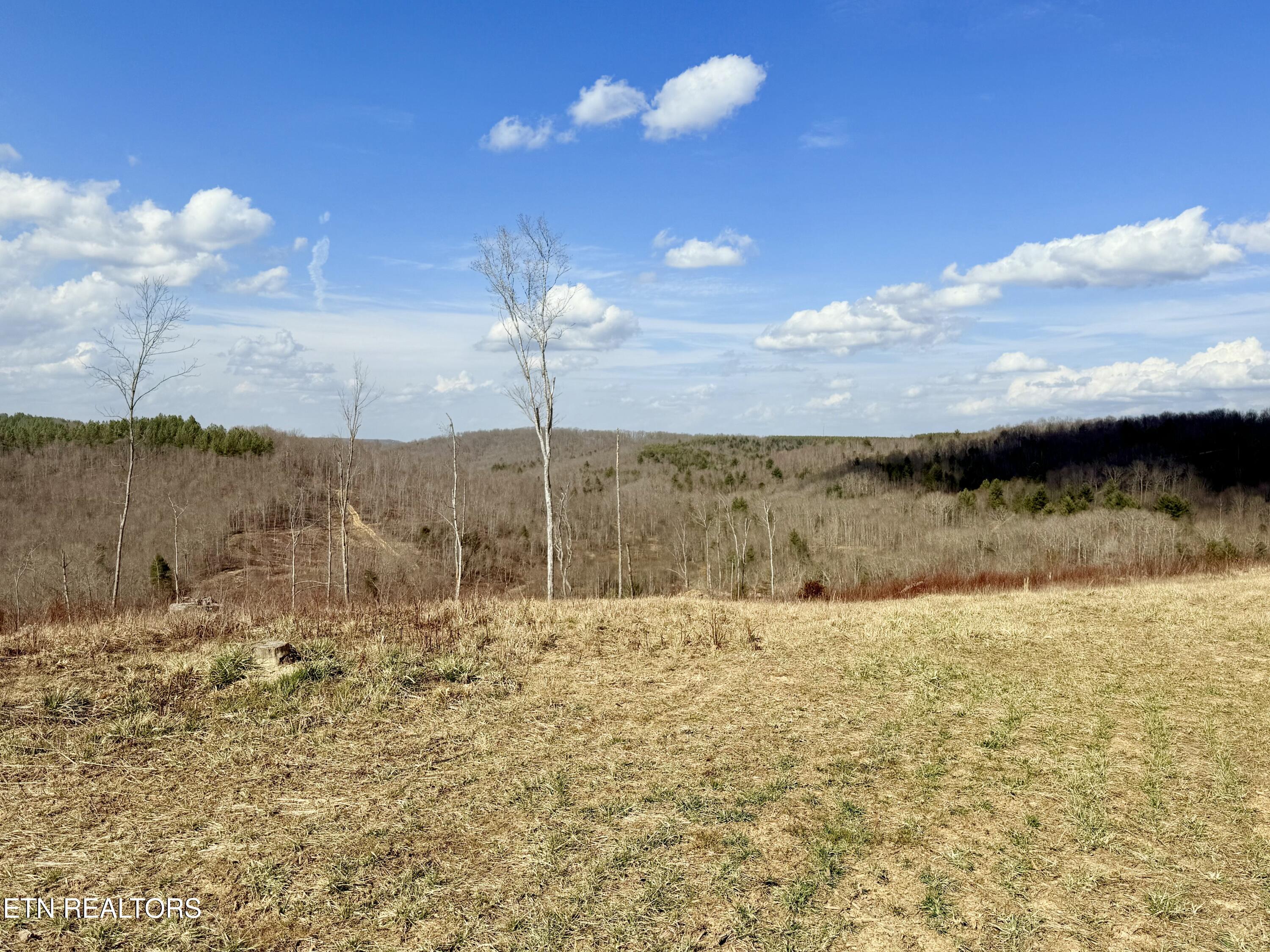 Skull Creek Road Robbins TN 37852
