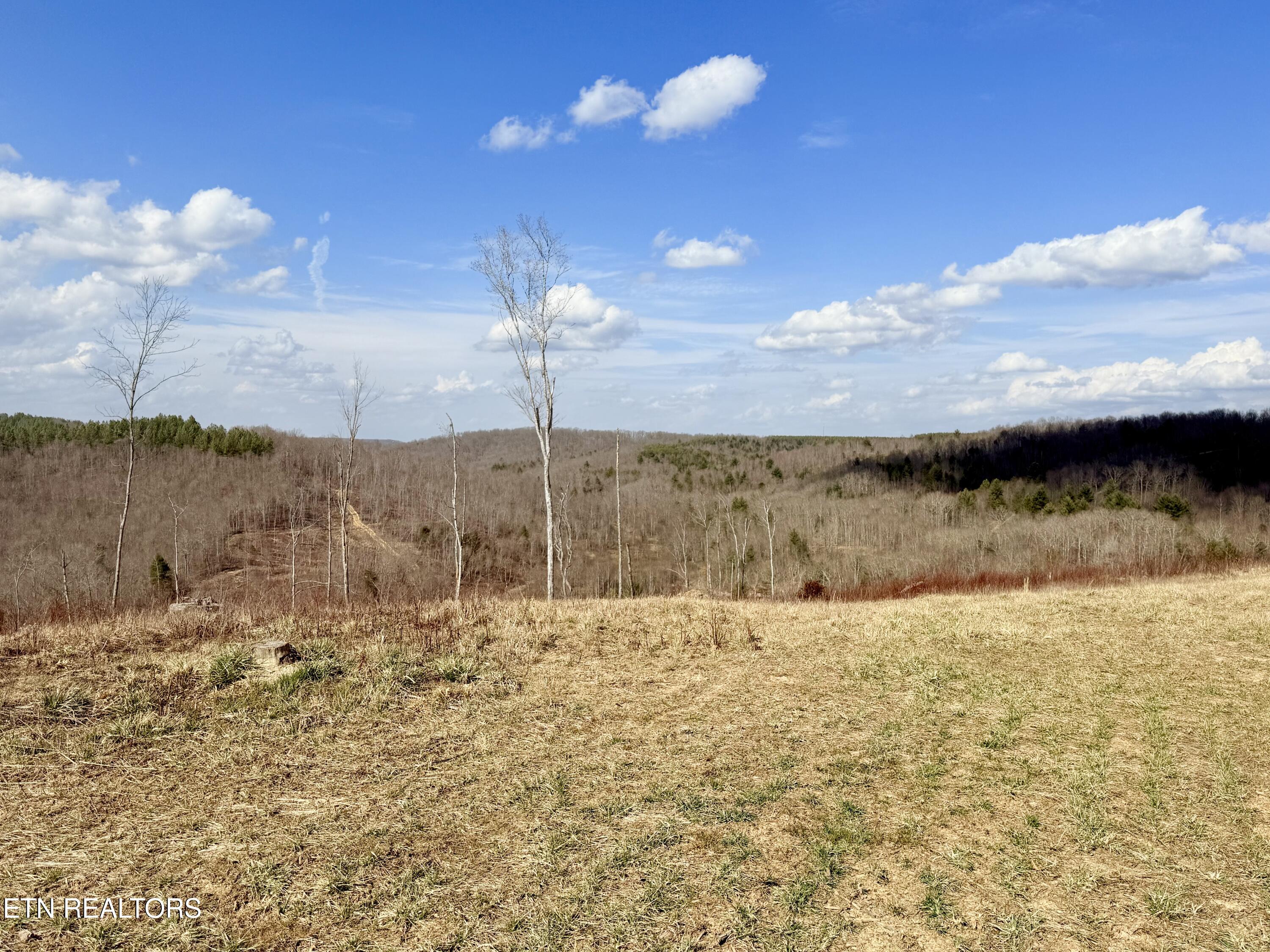 Skull Creek Road Robbins TN 37852