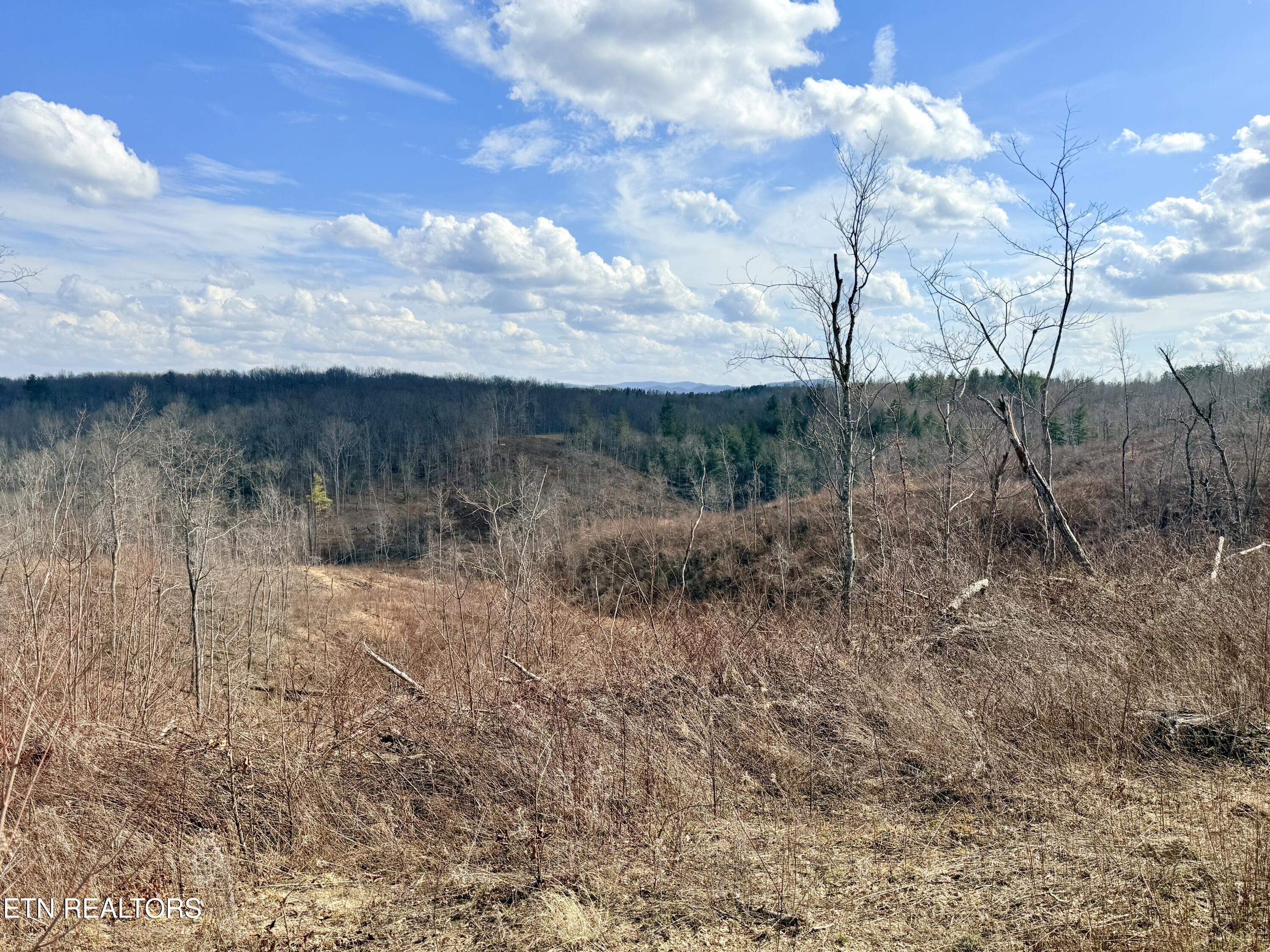 Skull Creek Road Robbins TN 37852