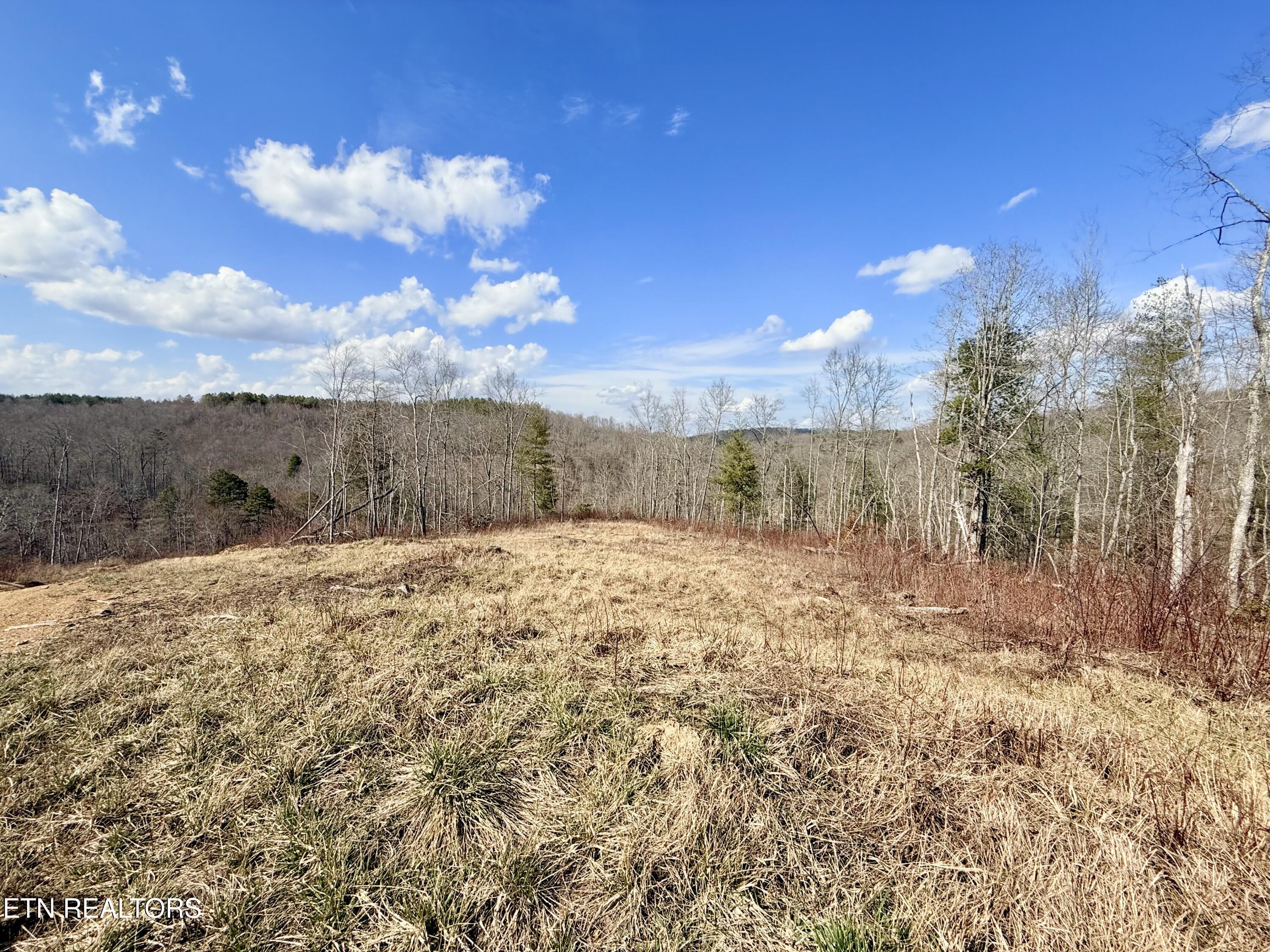 Skull Creek Road Robbins TN 37852