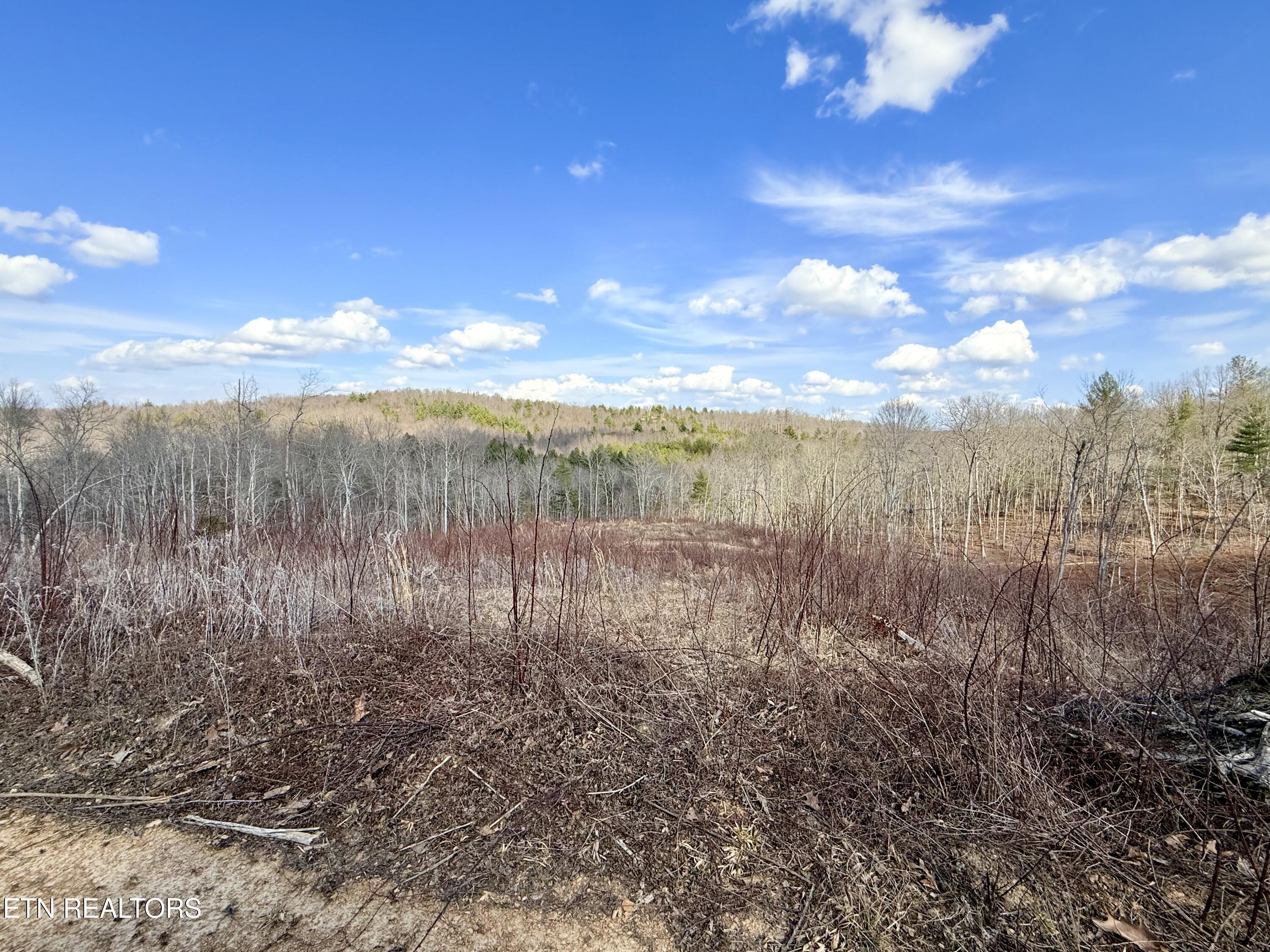 Skull Creek Road Robbins TN 37852
