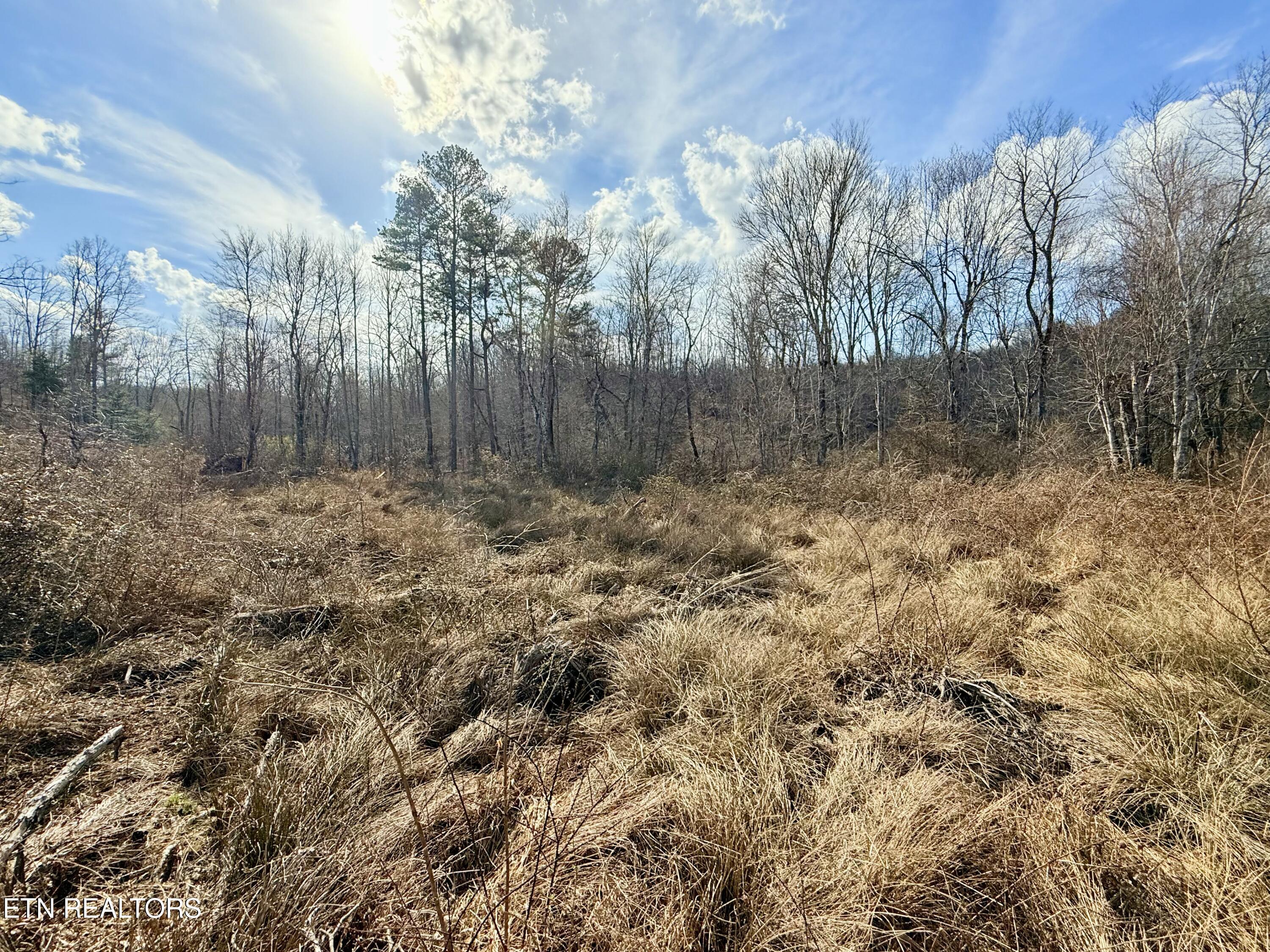 Skull Creek Road Robbins TN 37852