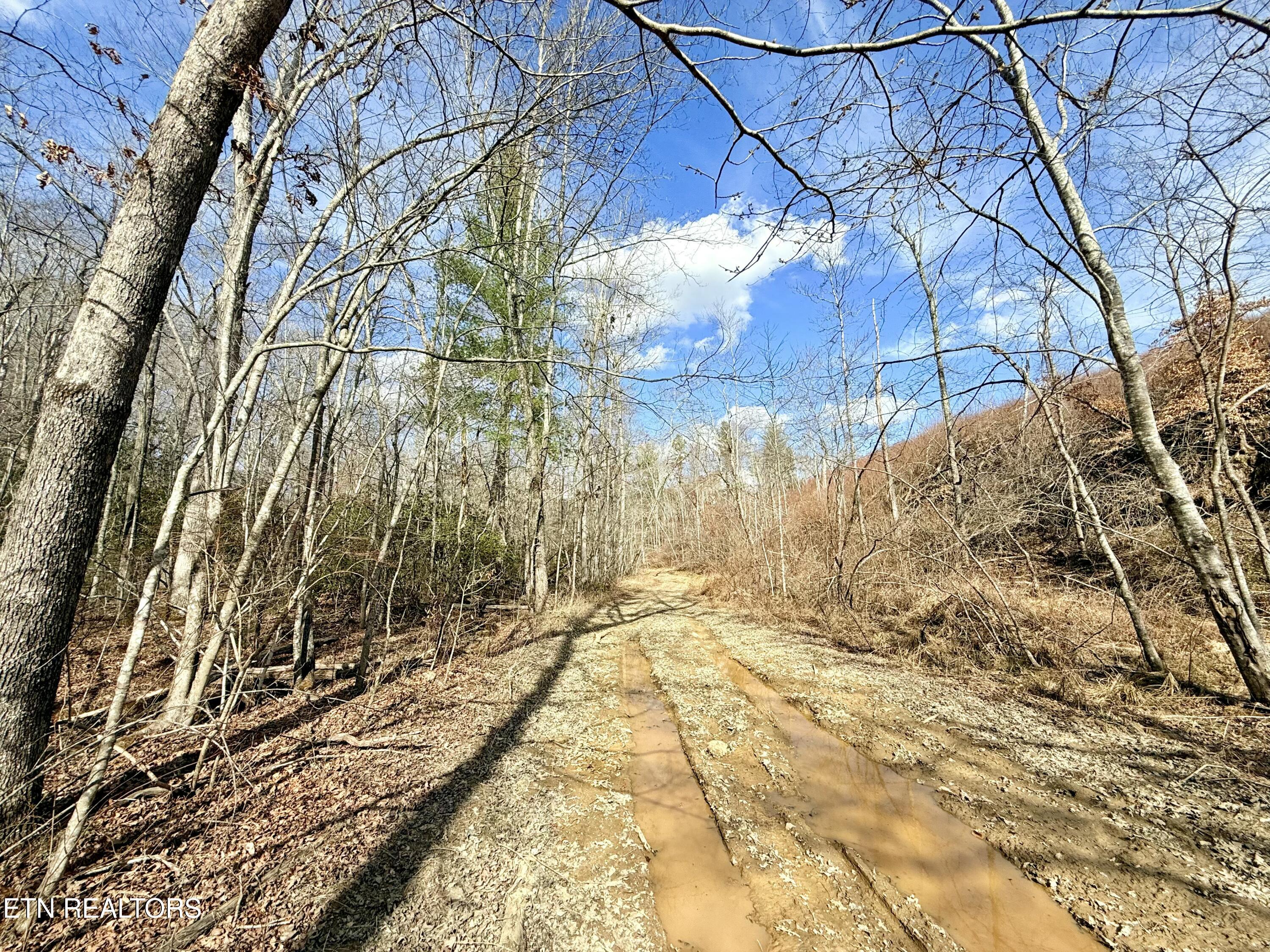 Skull Creek Road Robbins TN 37852