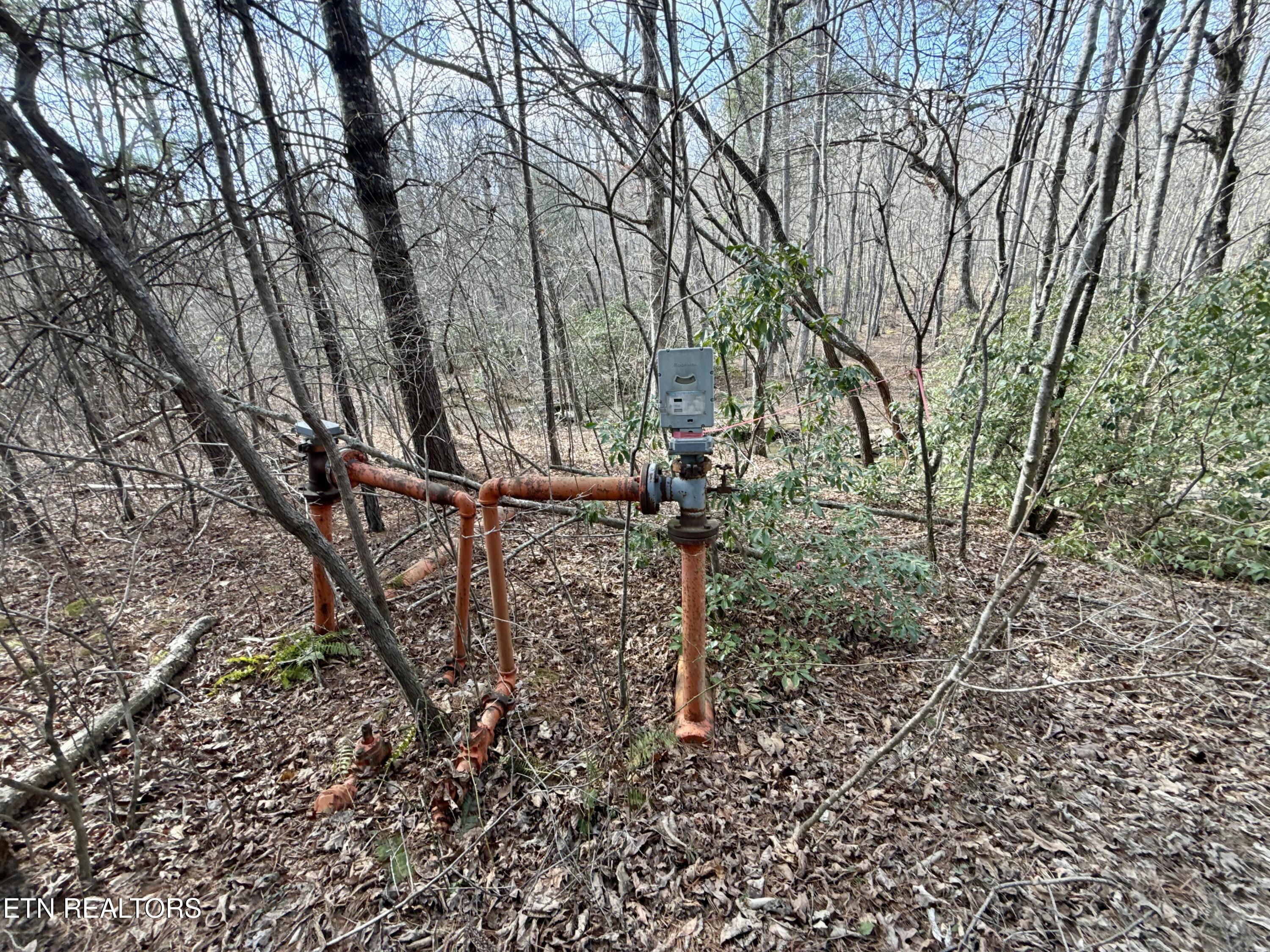Skull Creek Road Robbins TN 37852