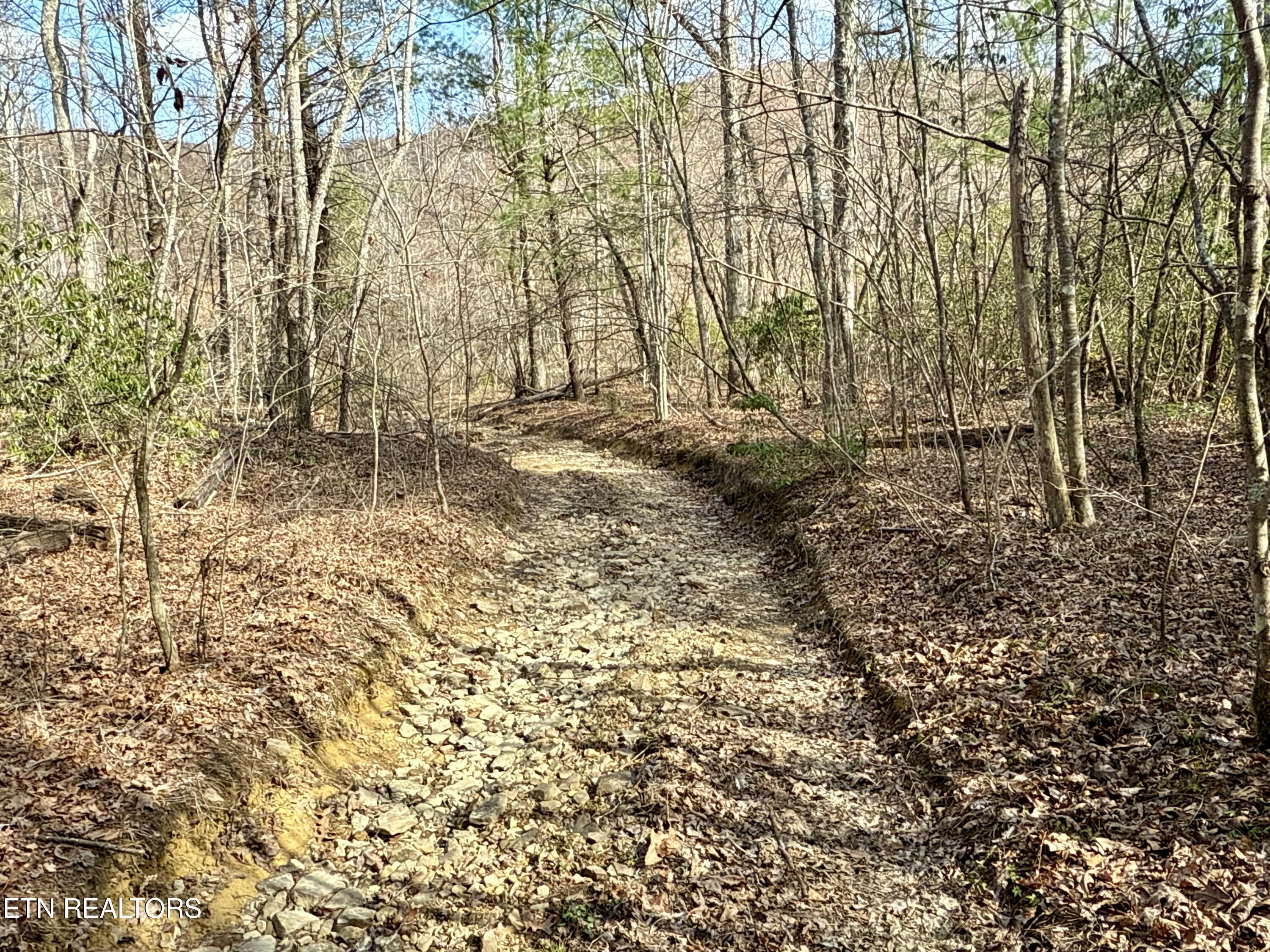 Skull Creek Road Robbins TN 37852