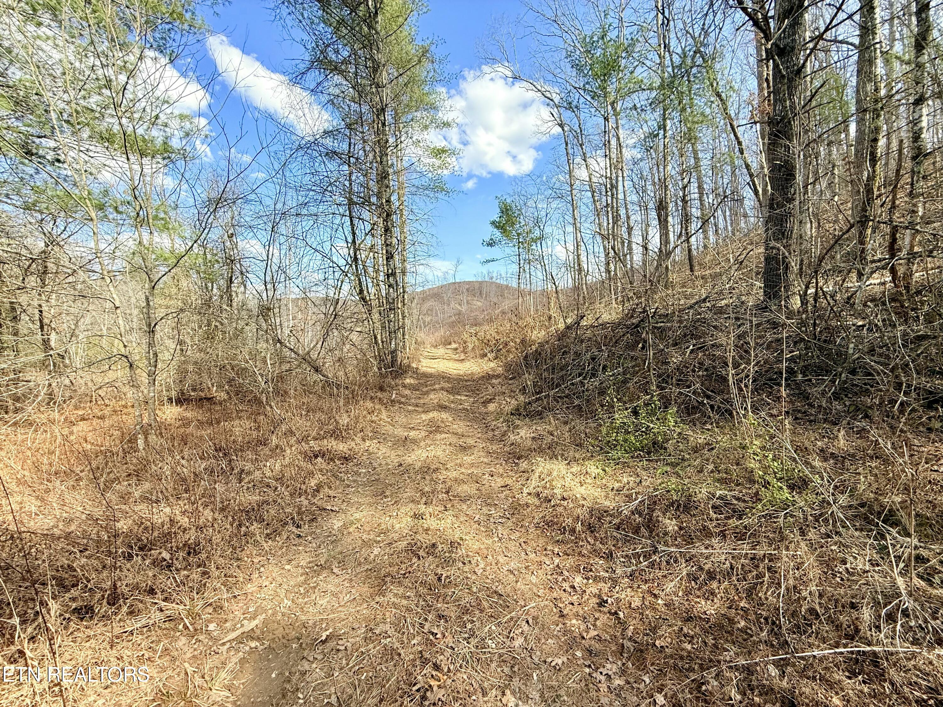 Skull Creek Road Robbins TN 37852